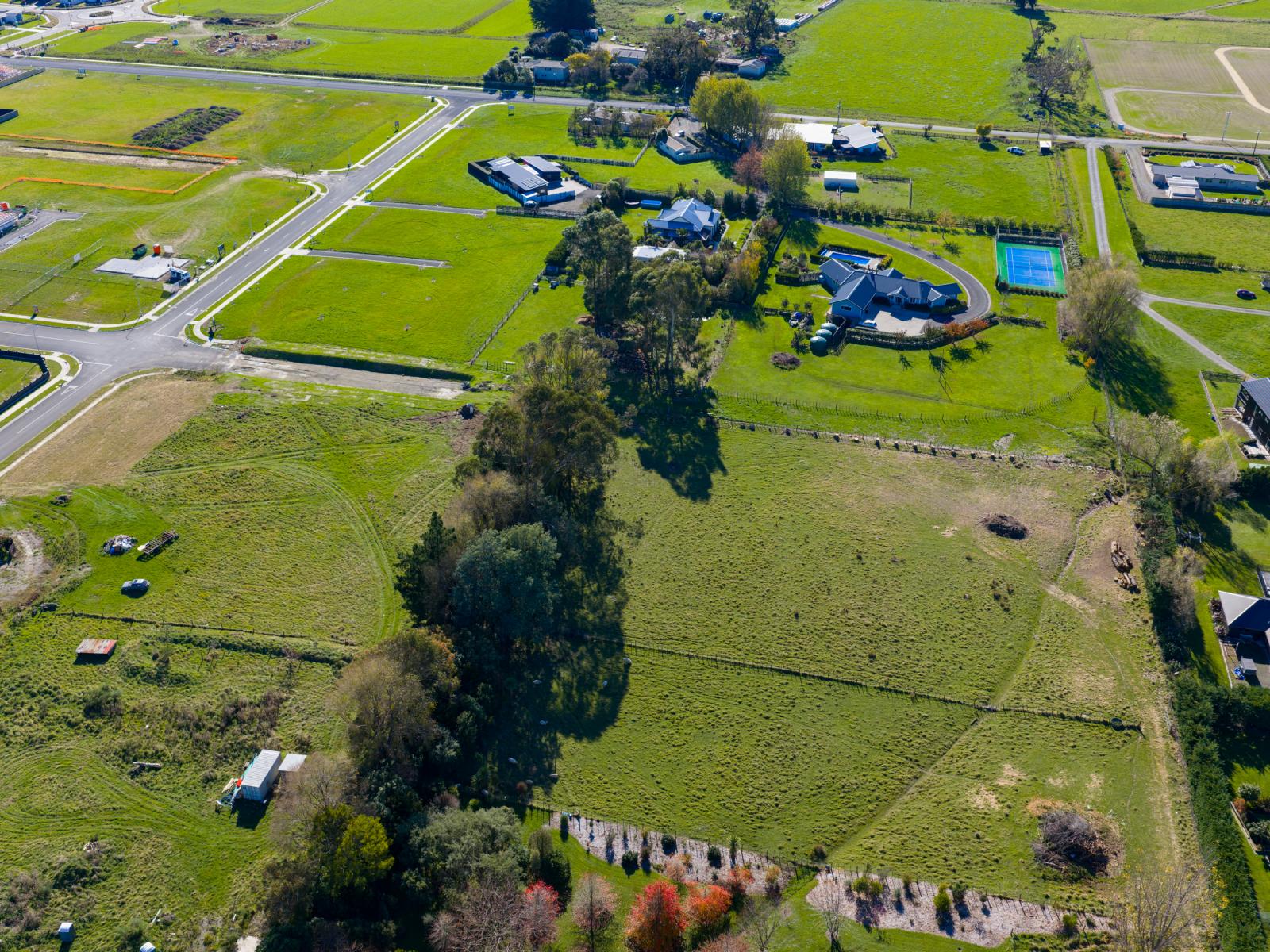 Turoa Street, Feilding