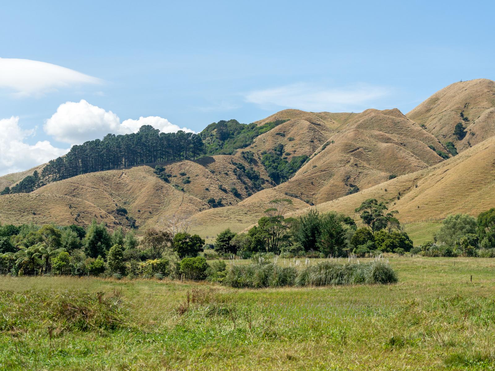 1-4, 75 Settlement Road, Te Horo