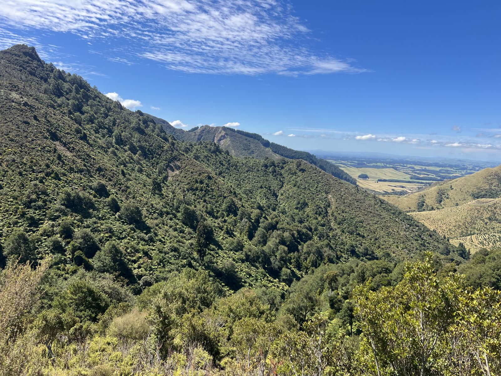 Tamaki East Road, Dannevirke