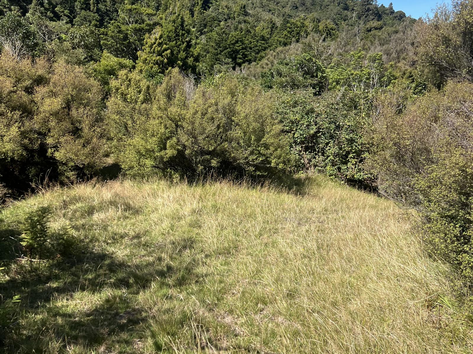 Tamaki East Road, Dannevirke