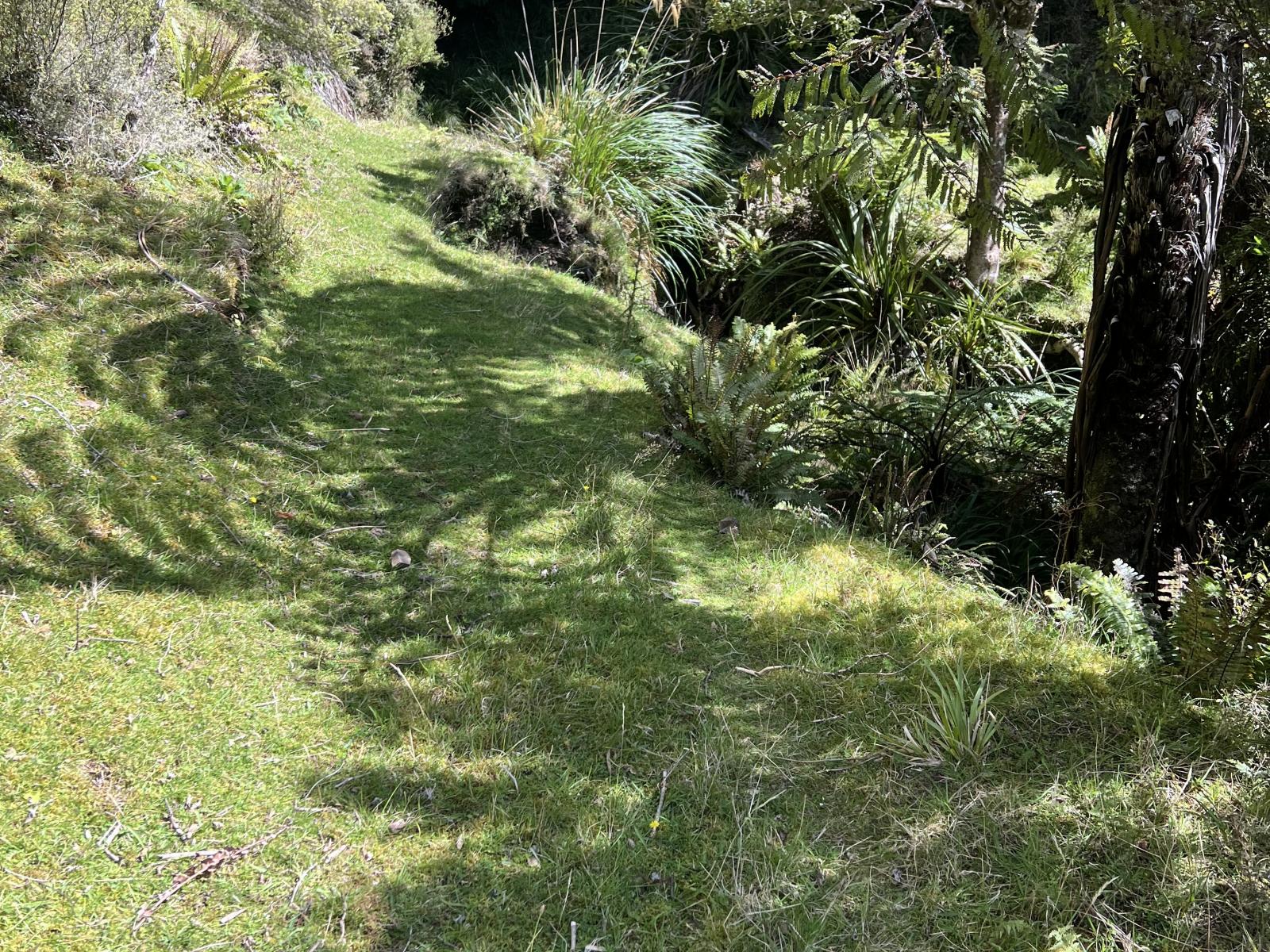 Tamaki East Road, Dannevirke