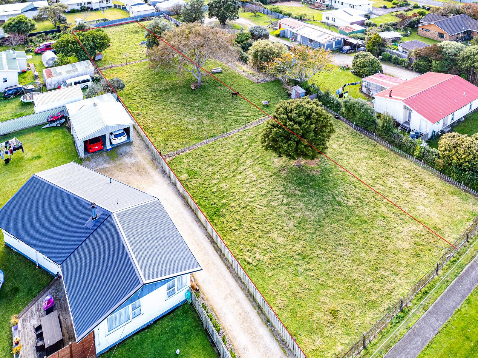 6 Hussey Street, Waverley