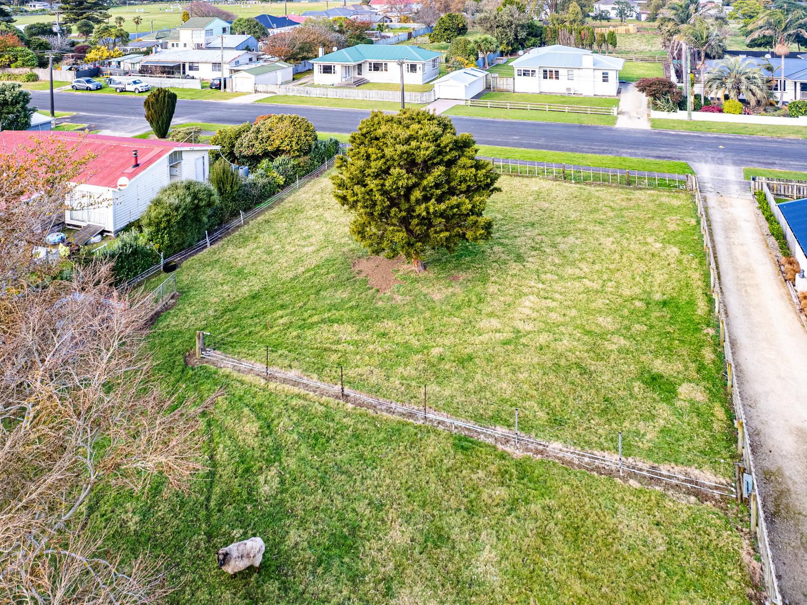 6 Hussey Street, Waverley