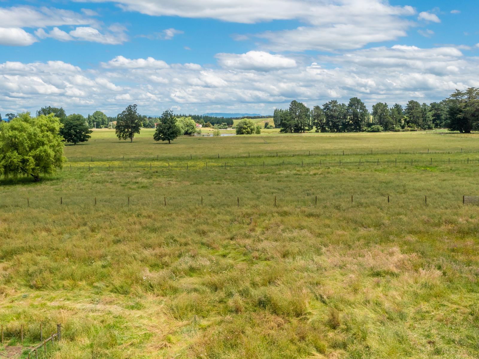 Lot 14, 2 Sedgwick Street, Tikokino