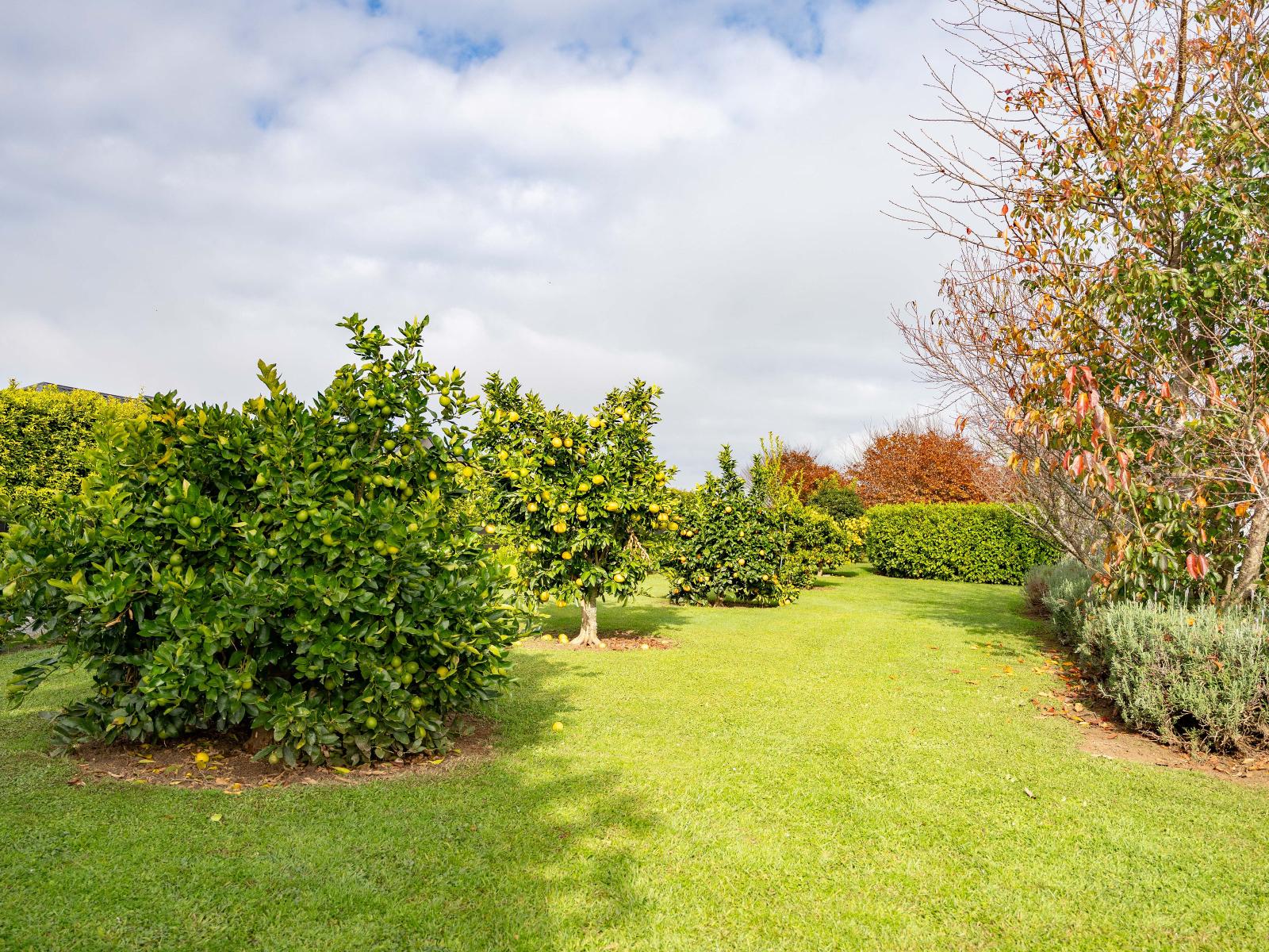 45 Eldonwood Drive, Matamata