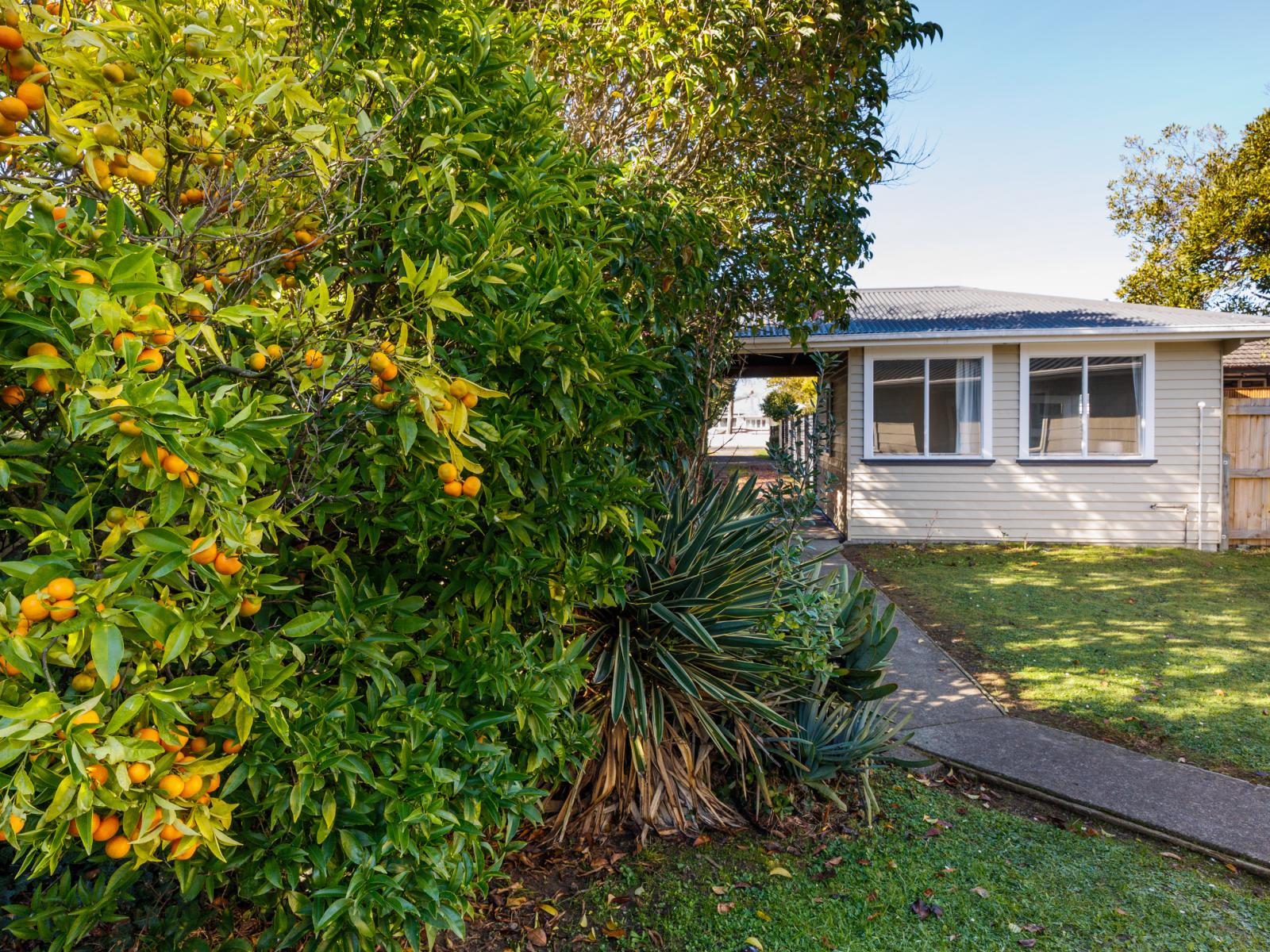 18A East Street, Feilding