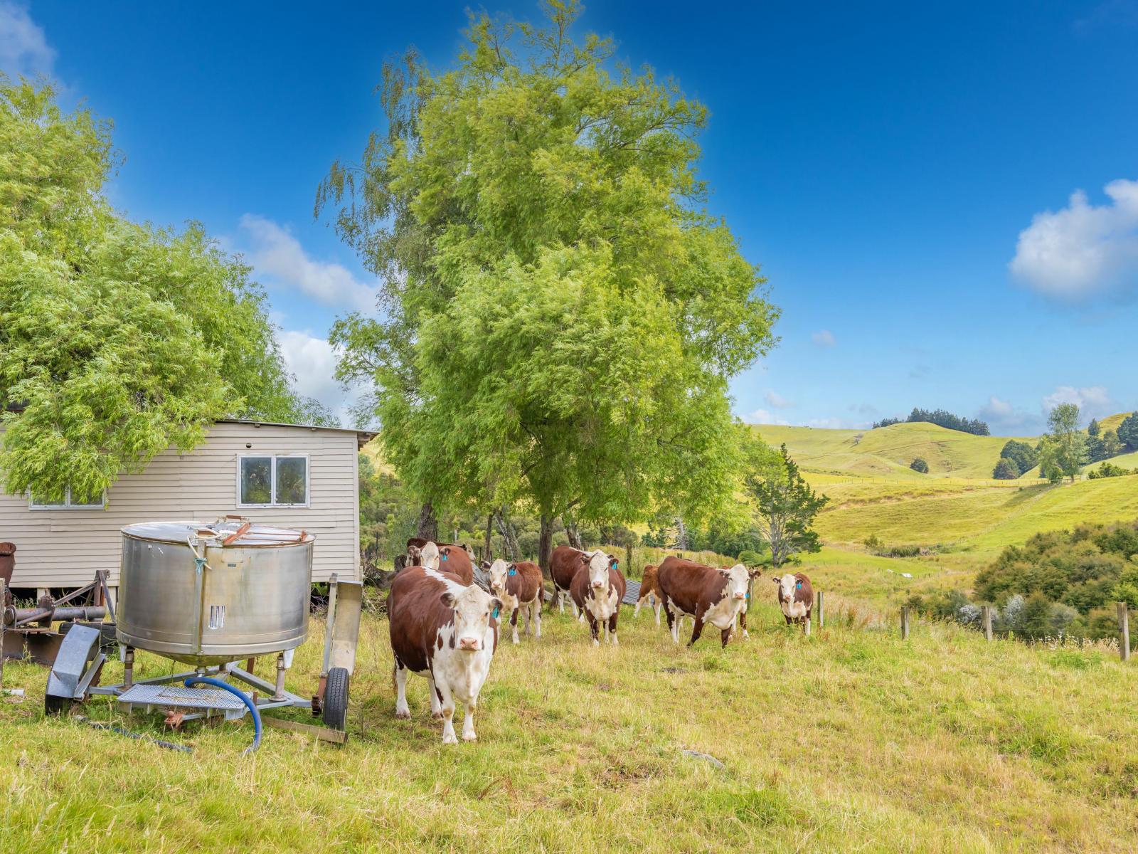 998 Limeworks Loop Road, Karamu