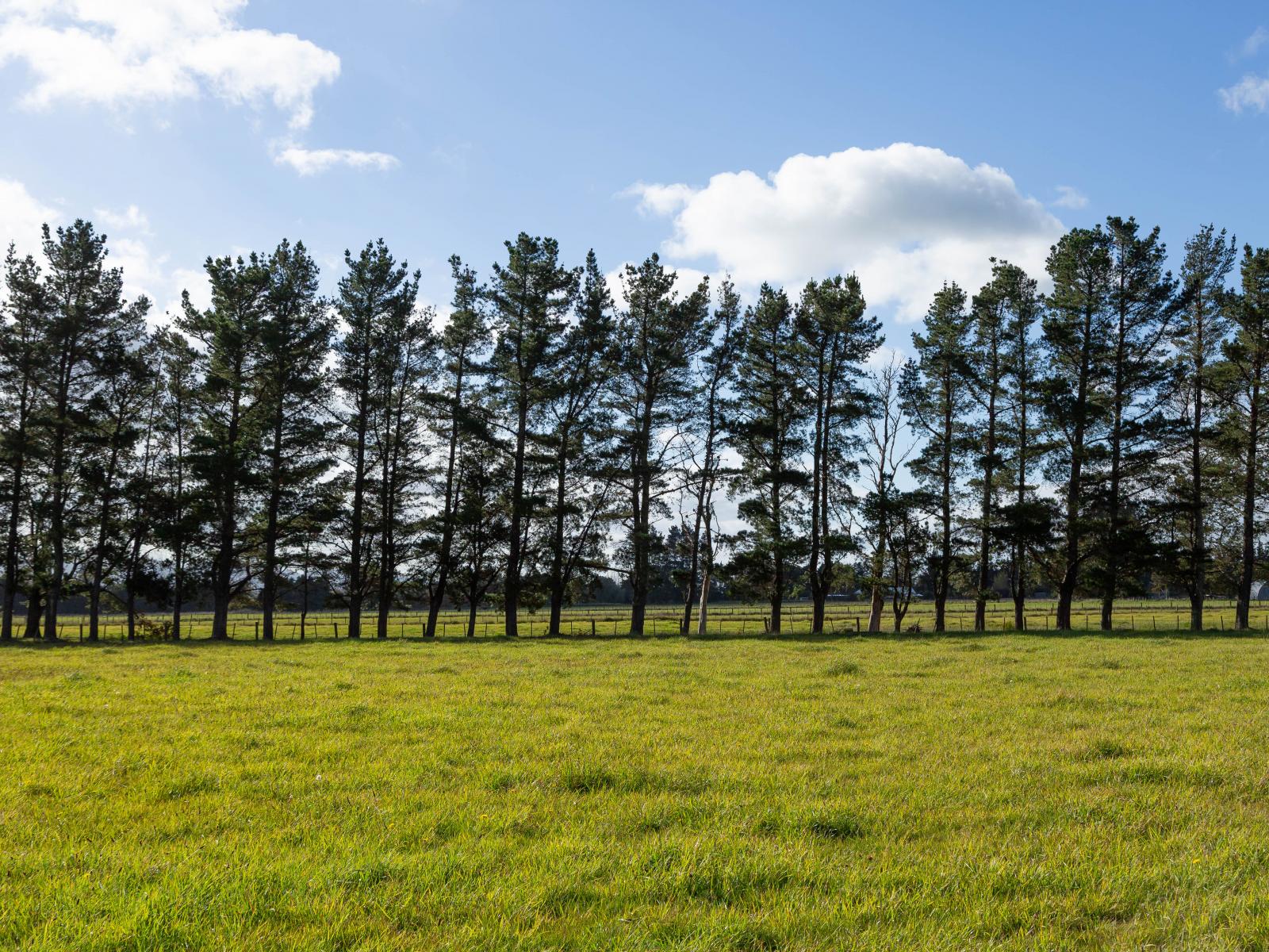 Lot 2, 122 Cross Line, Greytown