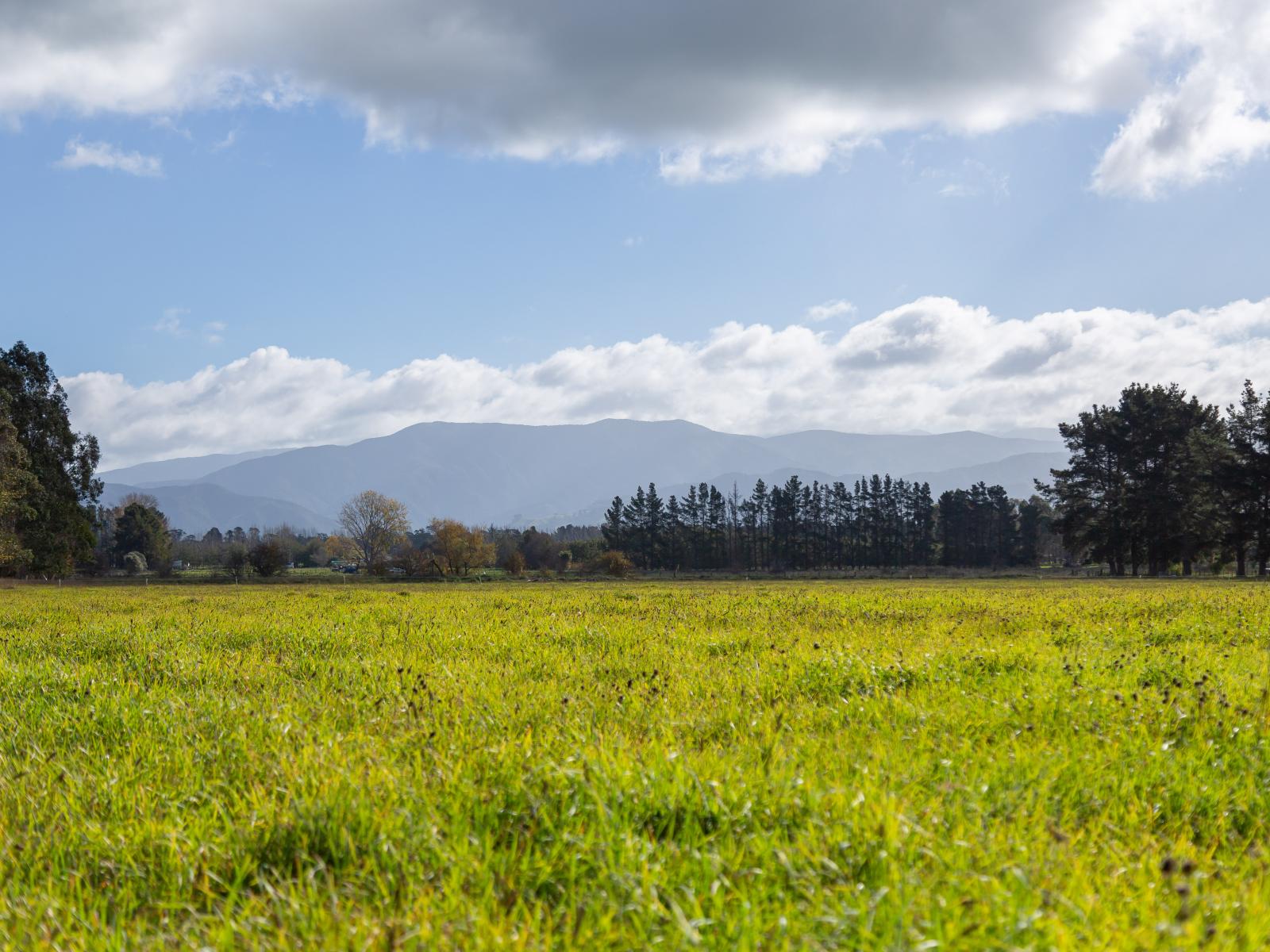 Lot 2, 122 Cross Line, Greytown