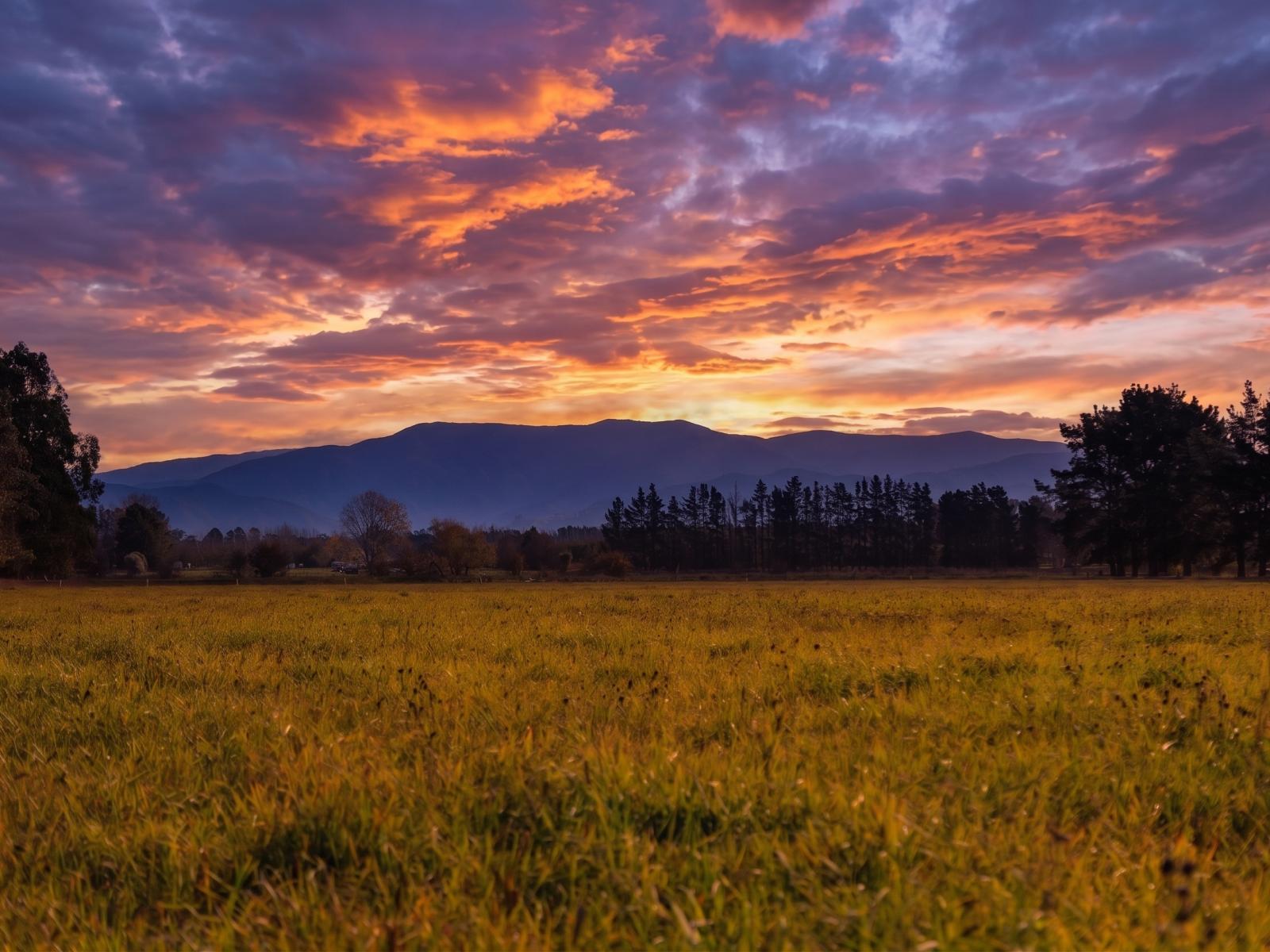 Lot 2, 122 Cross Line, Greytown