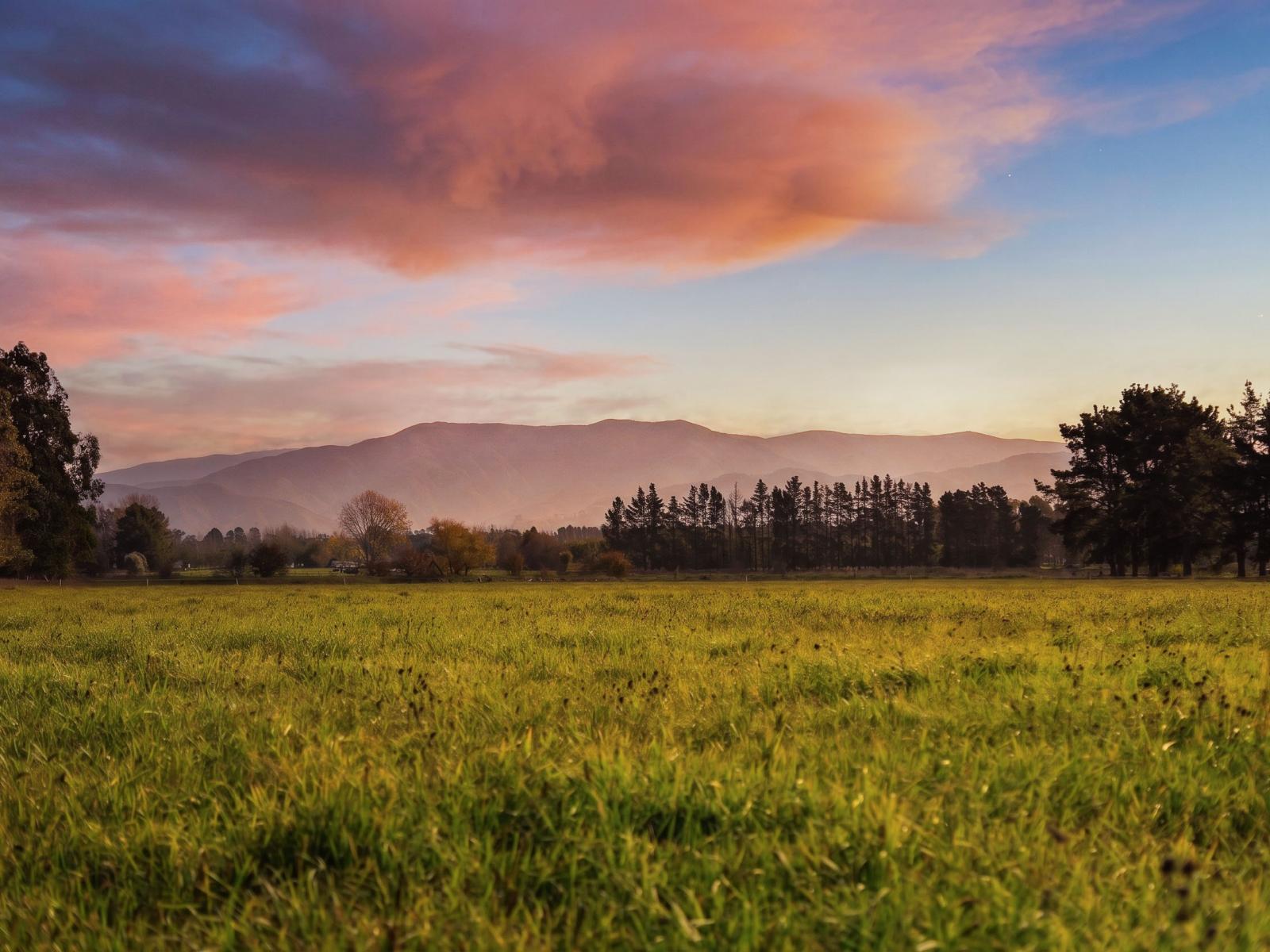 Lot 2, 122 Cross Line, Greytown