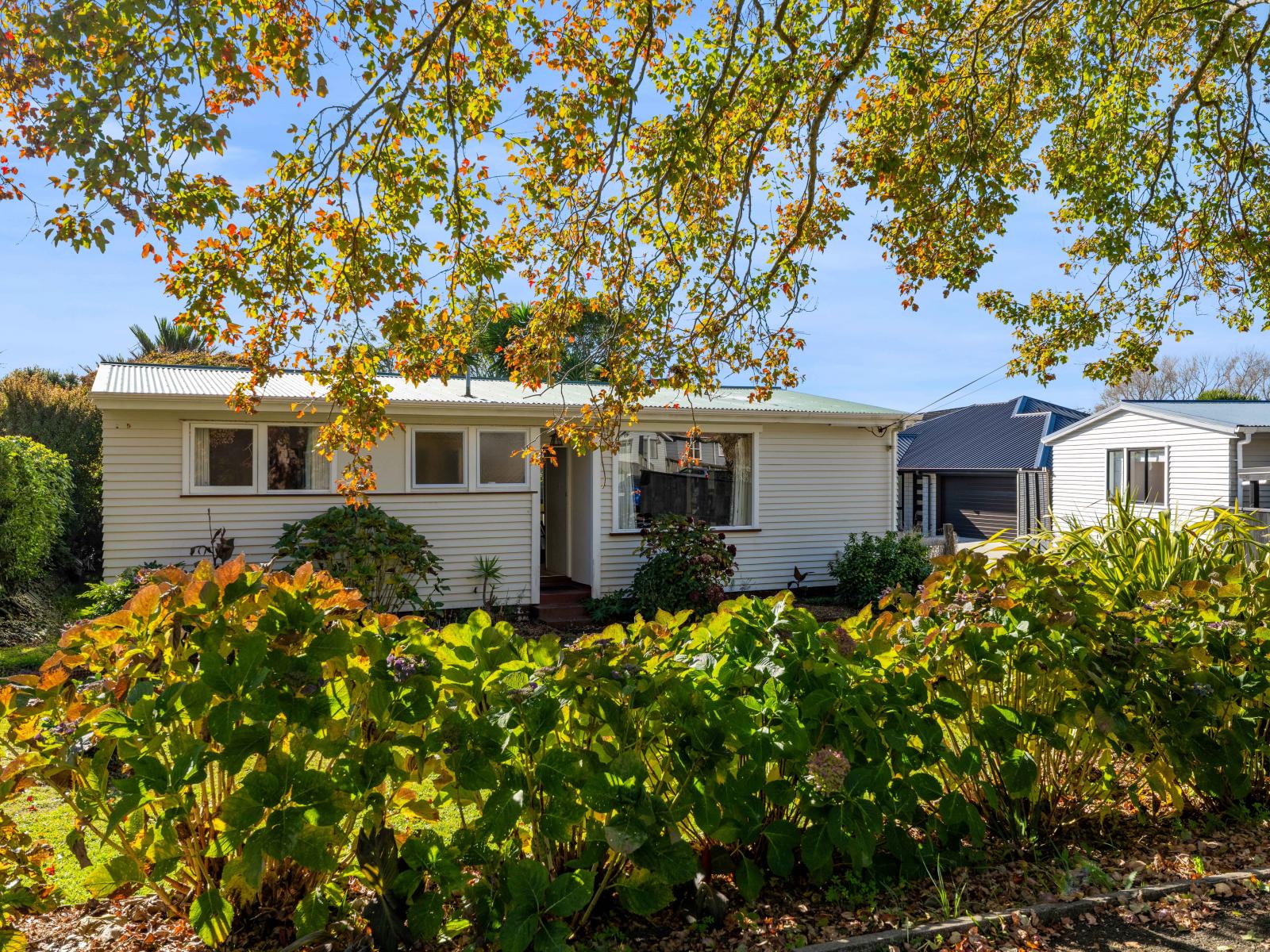23 Woodleigh Street, Frankleigh Park