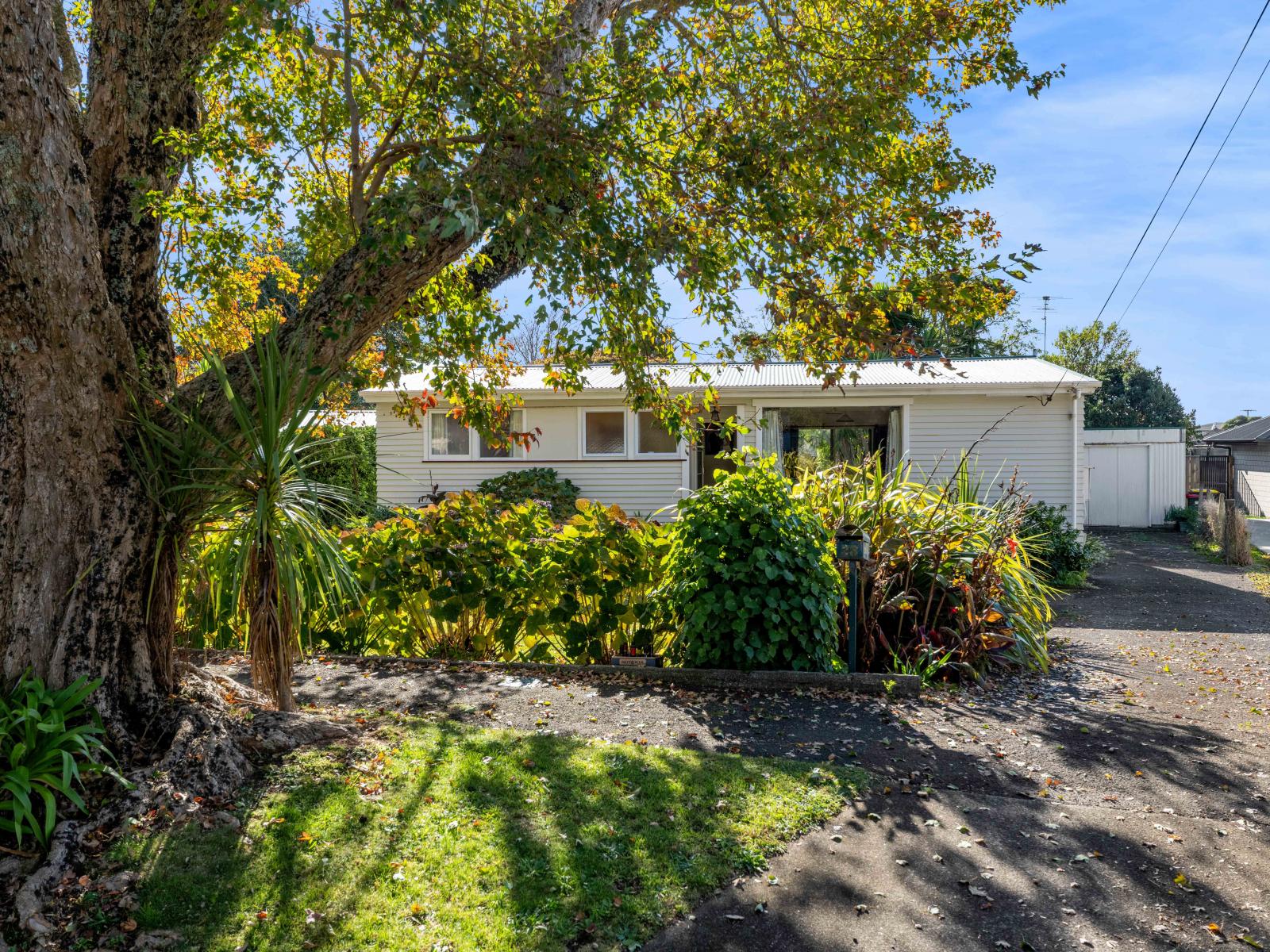23 Woodleigh Street, Frankleigh Park