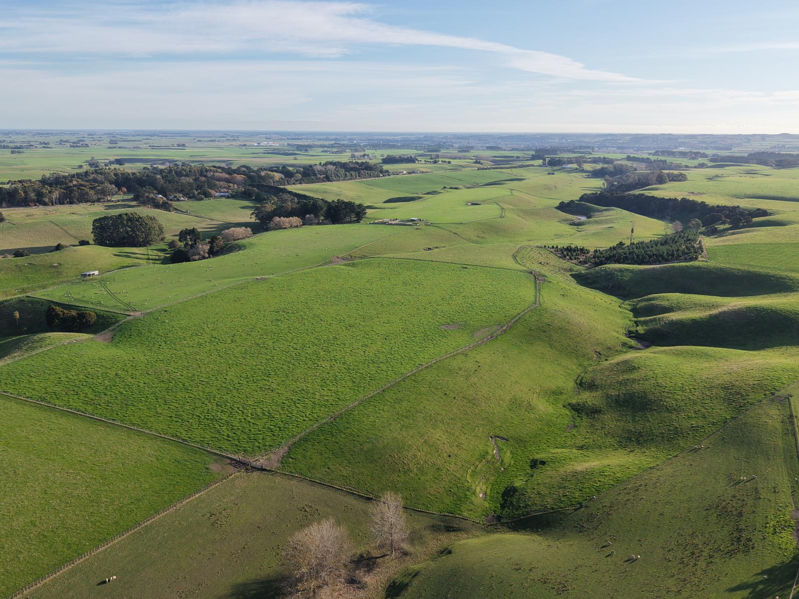 Mount Stewart Halcombe Road, Sanson