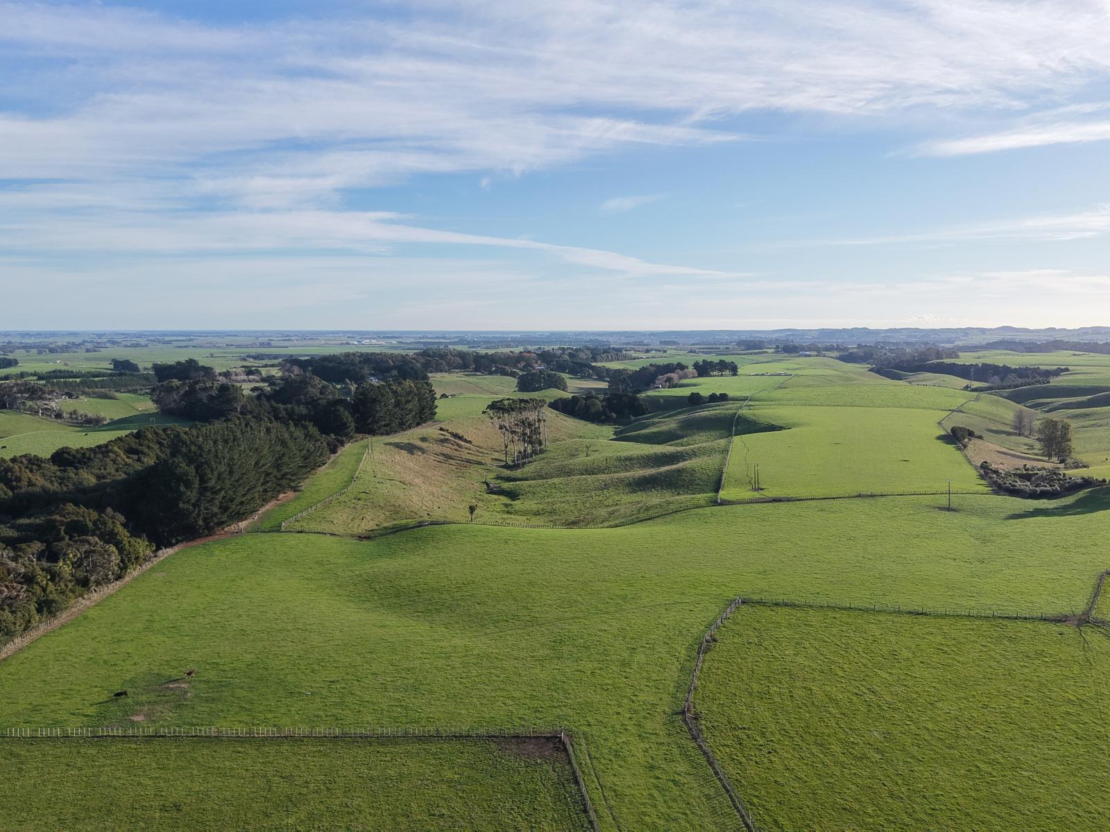 Mount Stewart Halcombe Road, Sanson