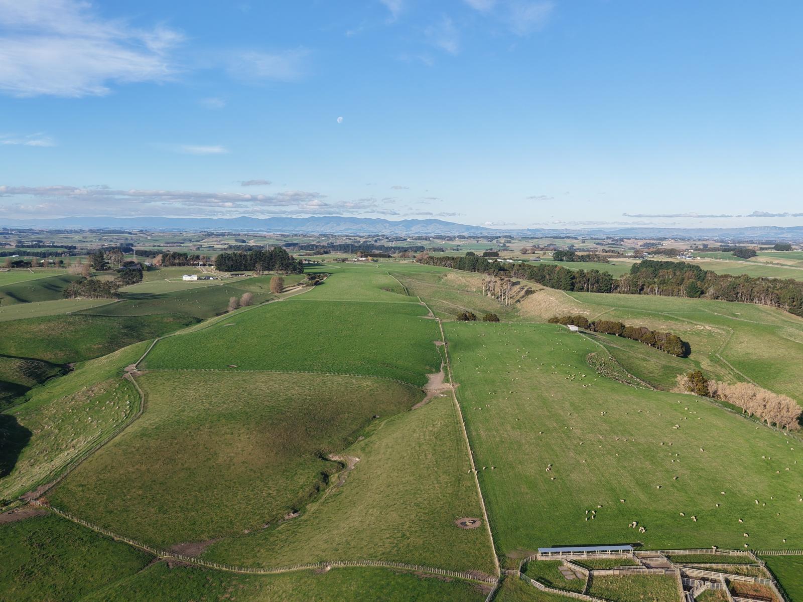 Mount Stewart Halcombe Road, Sanson
