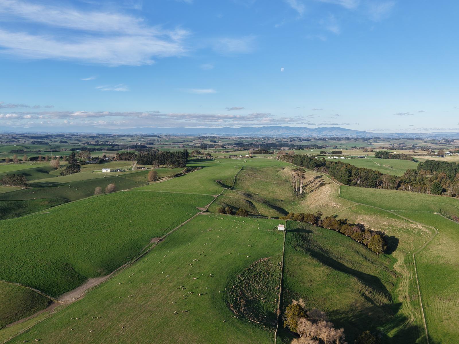 Mount Stewart Halcombe Road, Sanson