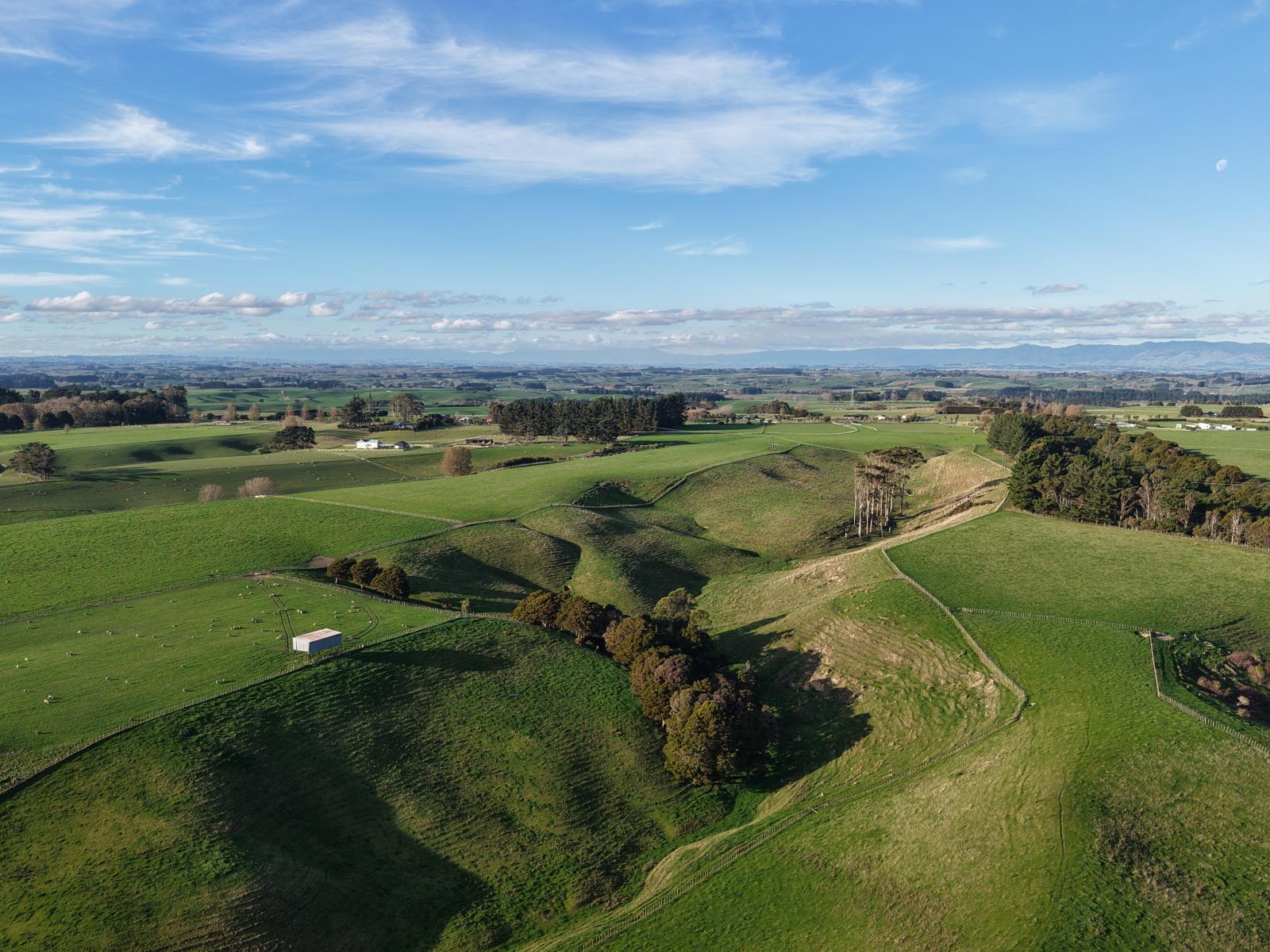Mount Stewart Halcombe Road, Sanson