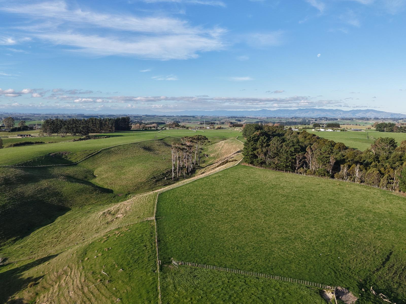 Mount Stewart Halcombe Road, Sanson