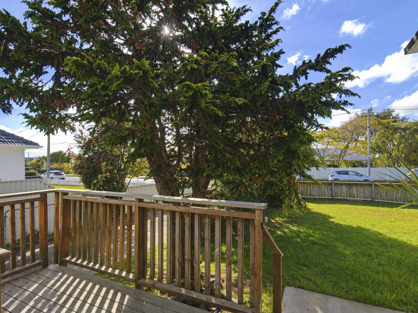 55 Trafalgar Street, Levin