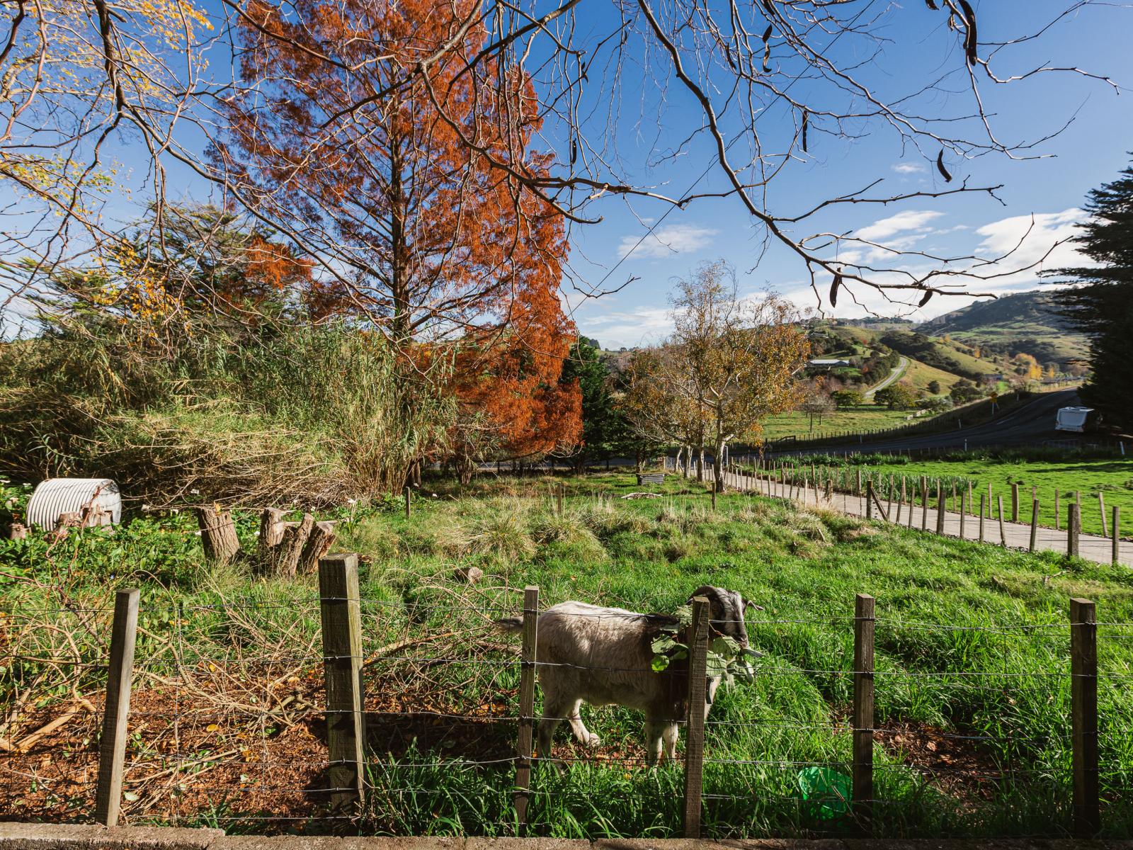 164 Hill Road, Eskdale