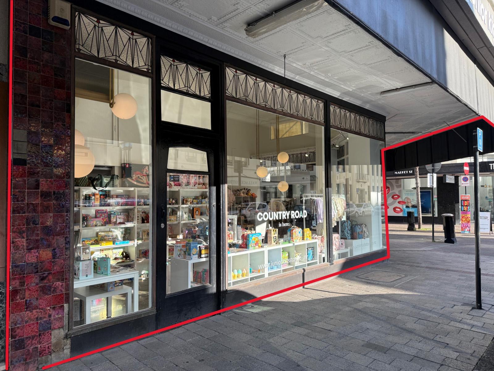 34 Tennyson Street, Napier South