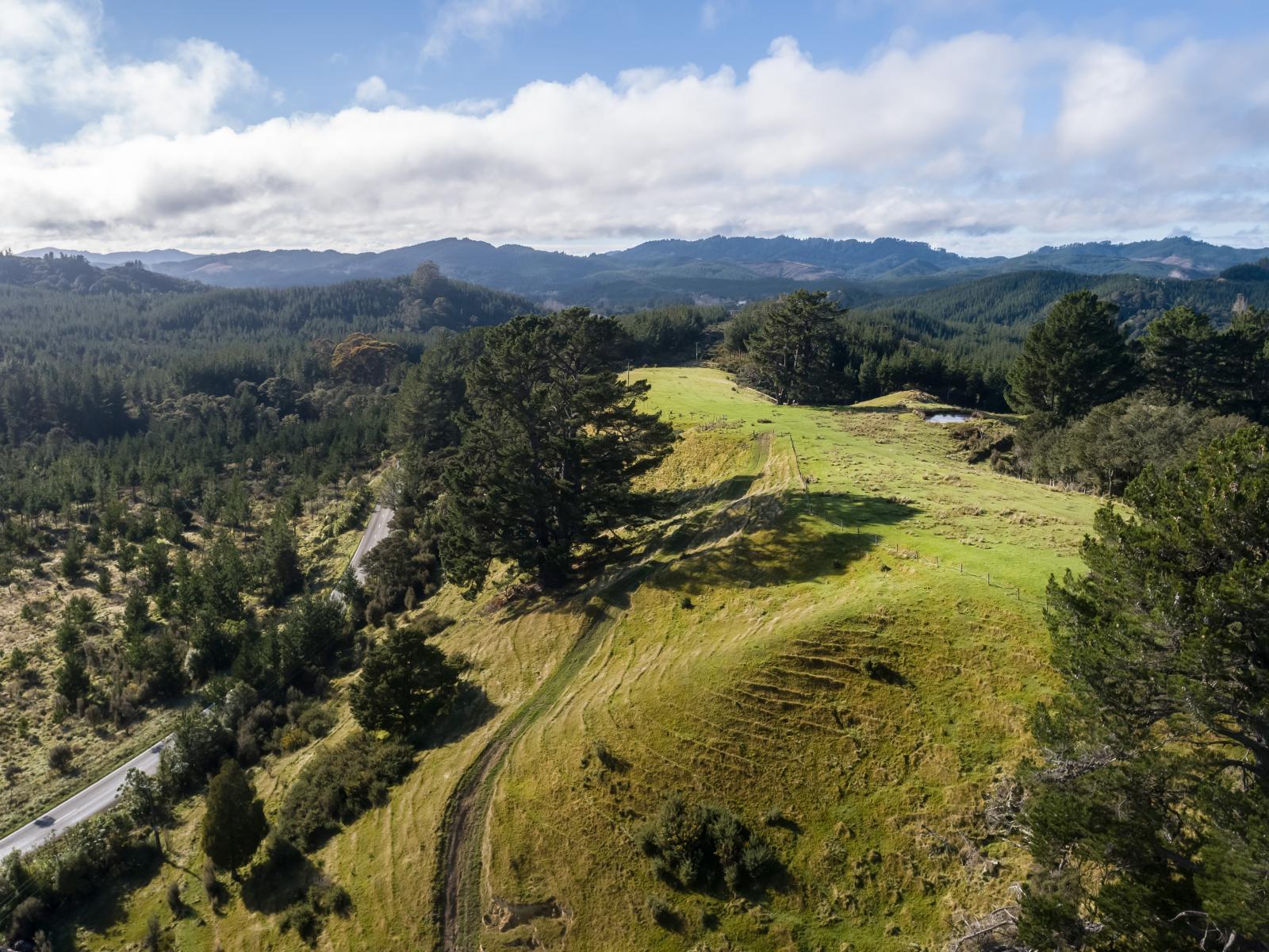 2010 Te Wharau Road, Te Wharau