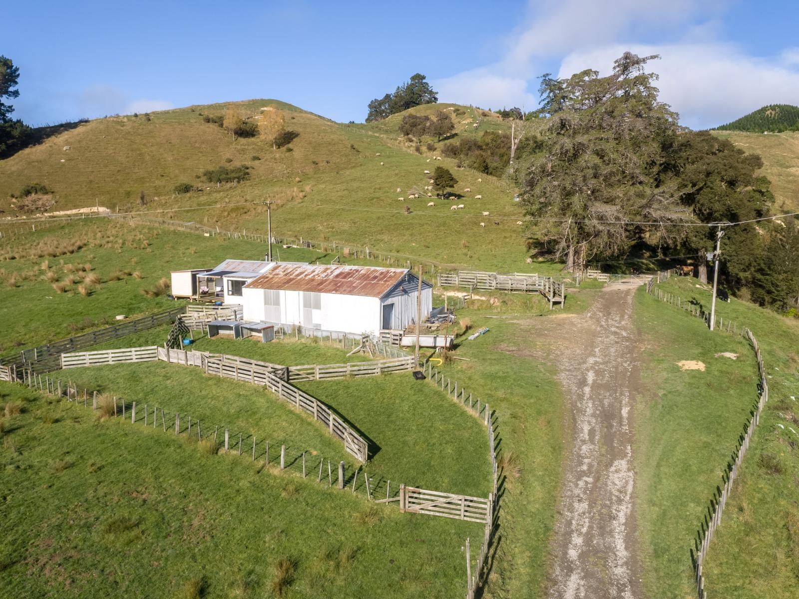 2010 Te Wharau Road, Te Wharau