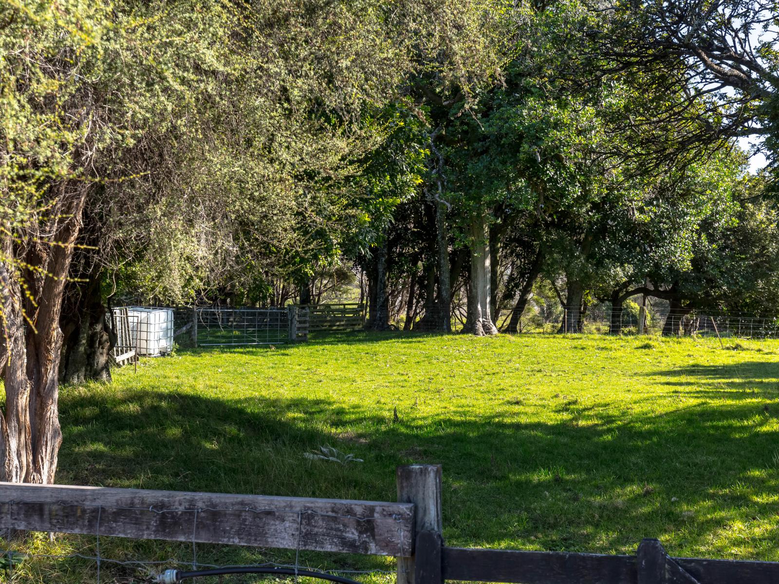 1268 Kaiwhata Road, Masterton