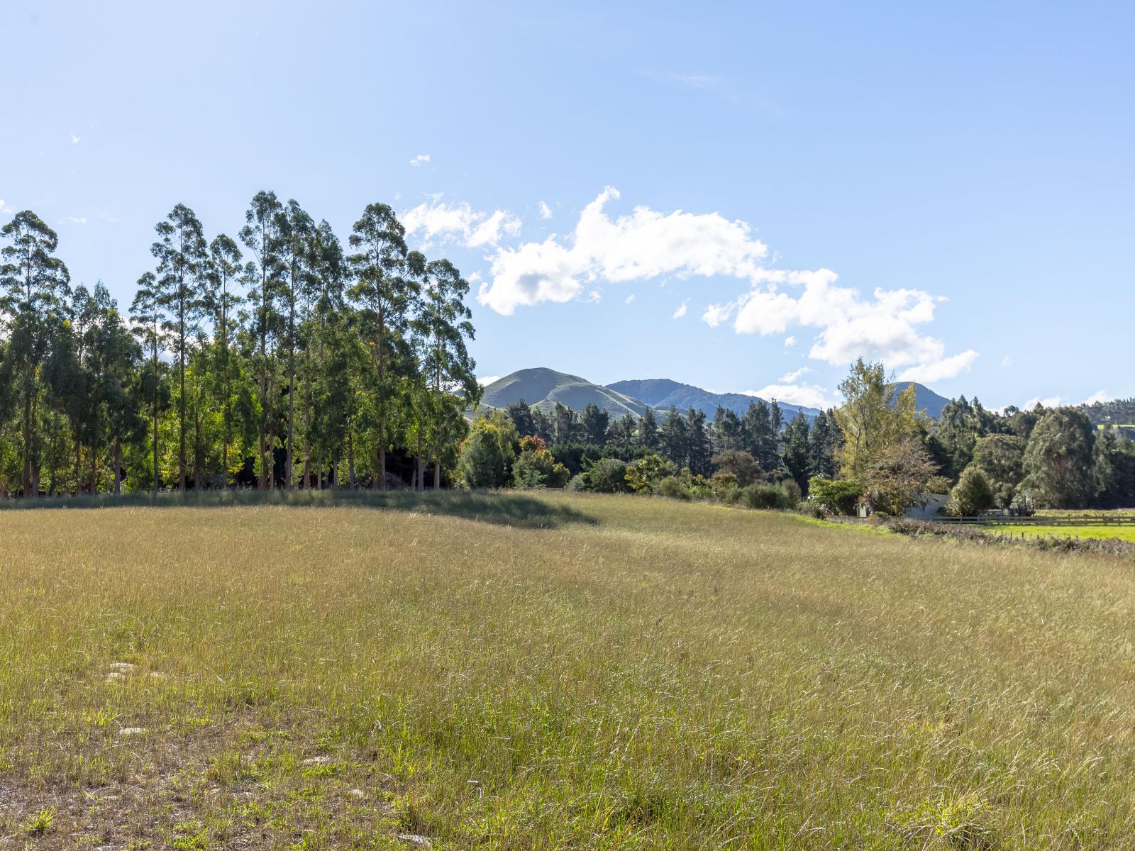 950 Norfolk Road, Carterton