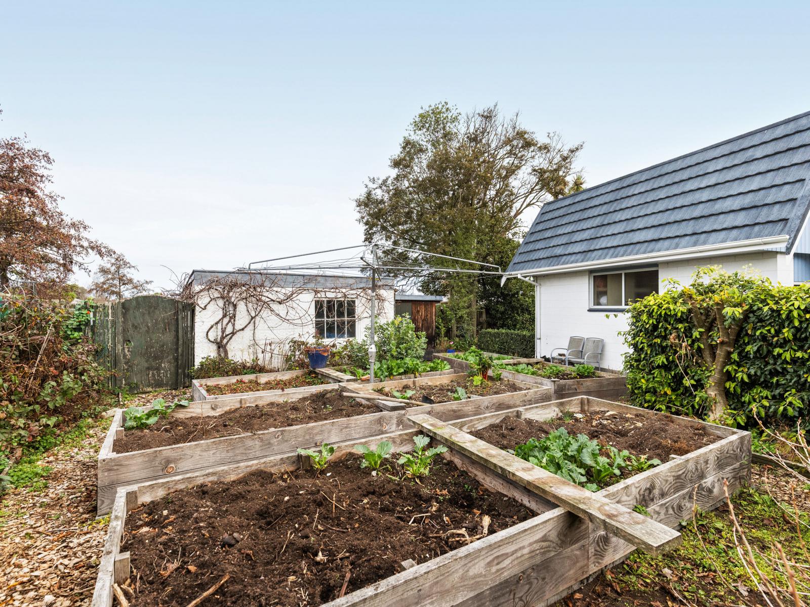 25A George Street, Rangiora