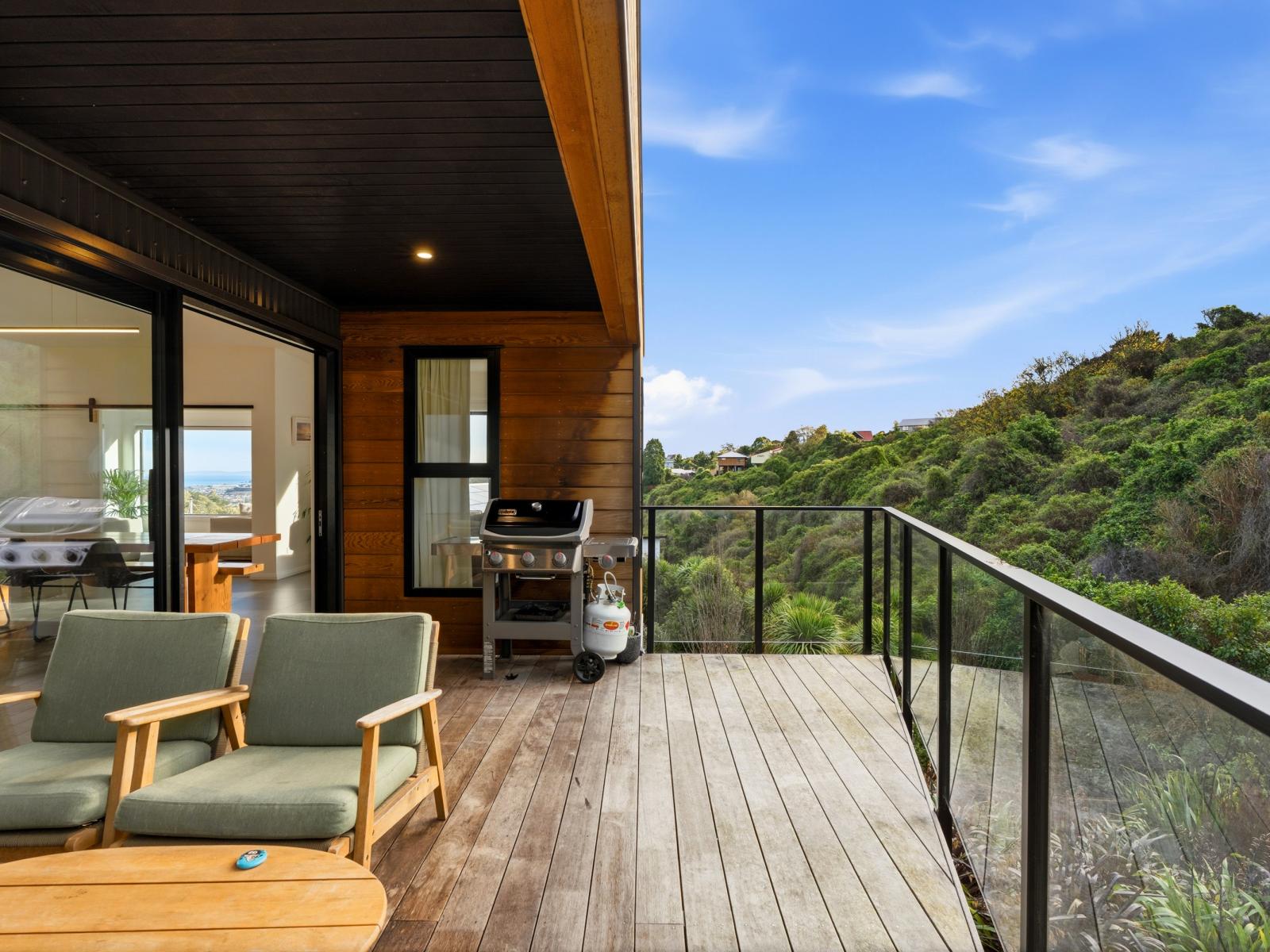 197 Somerville Street, Shiel Hill