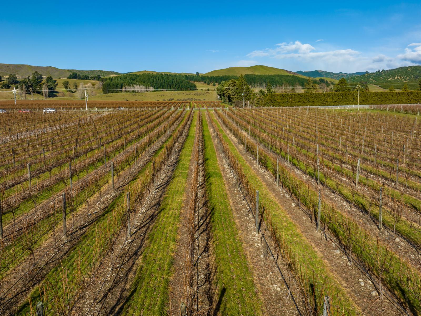 2384 State Highway 63, Wairau Valley
