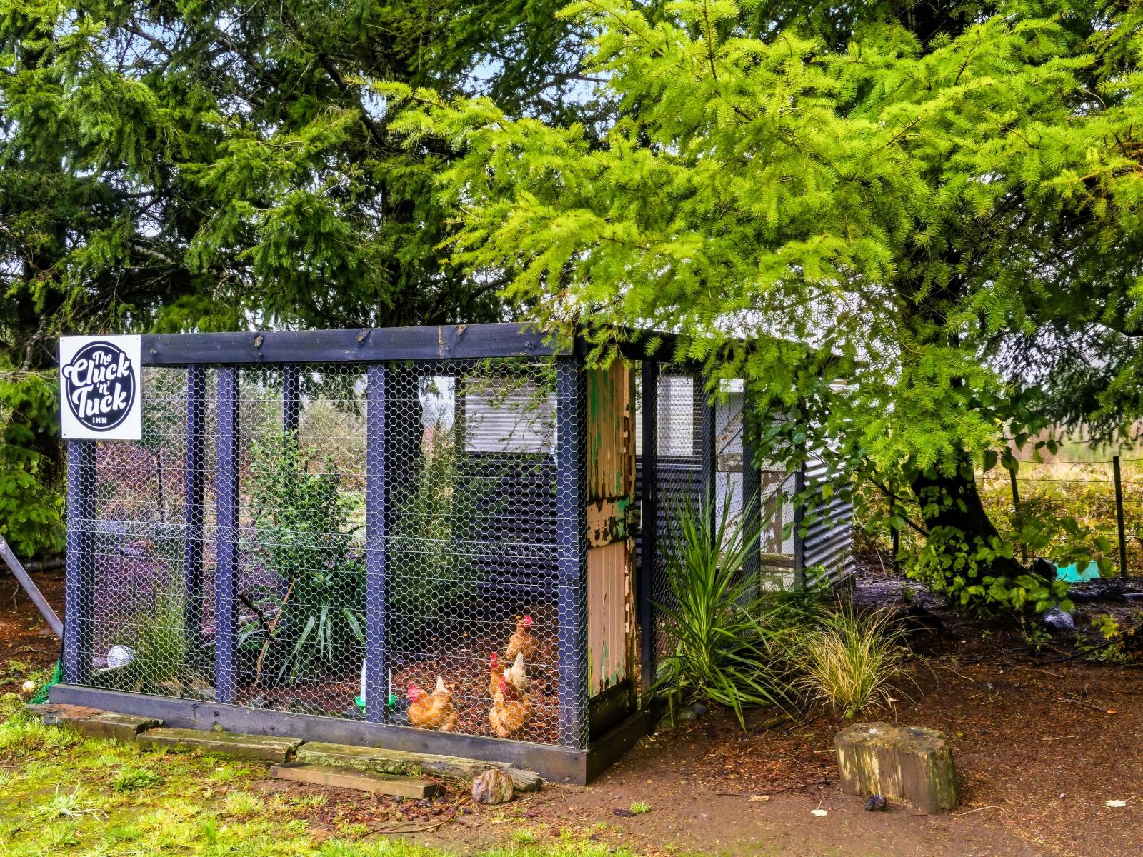 36 Pokaka Road, Erua, National Park