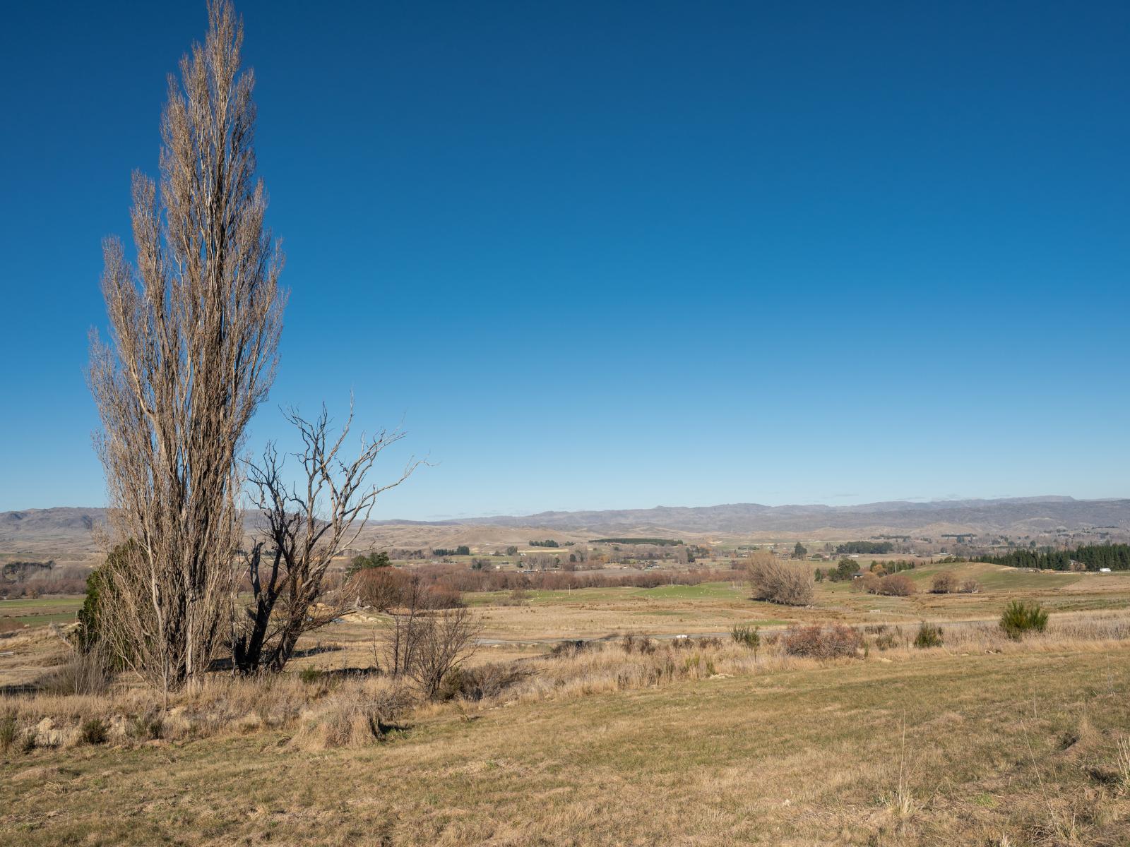 Chatto Creek-Springvale Road, Springvale