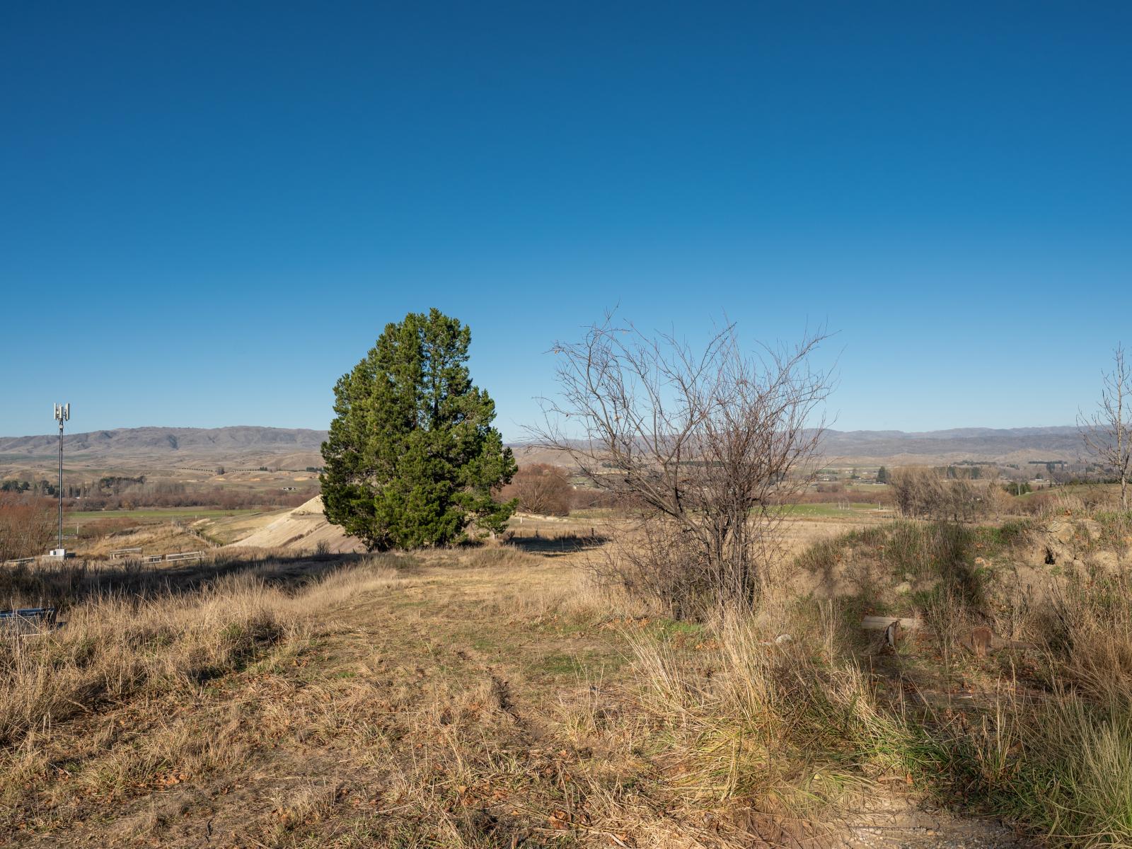 Chatto Creek-Springvale Road, Springvale