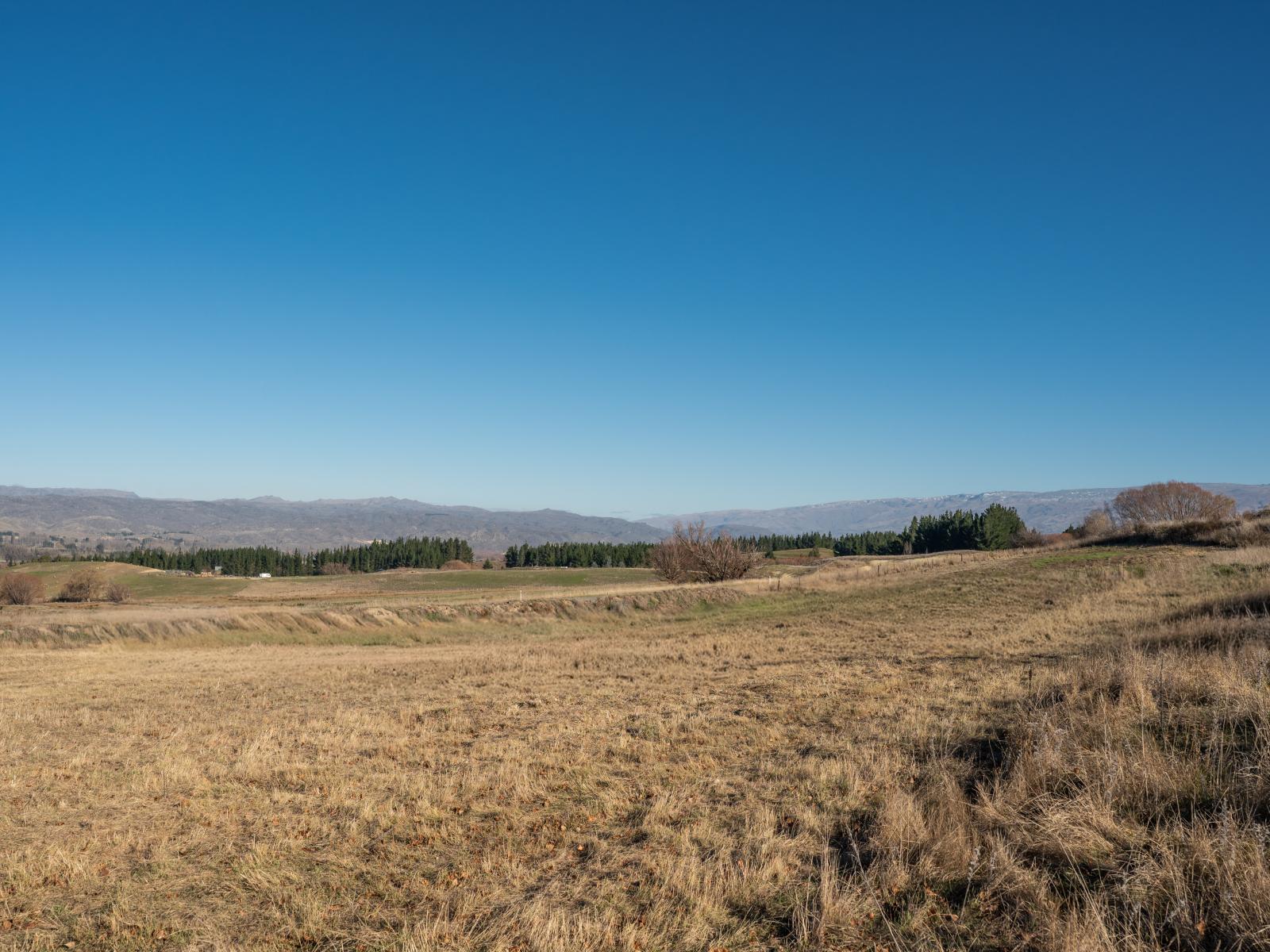 Chatto Creek-Springvale Road, Springvale