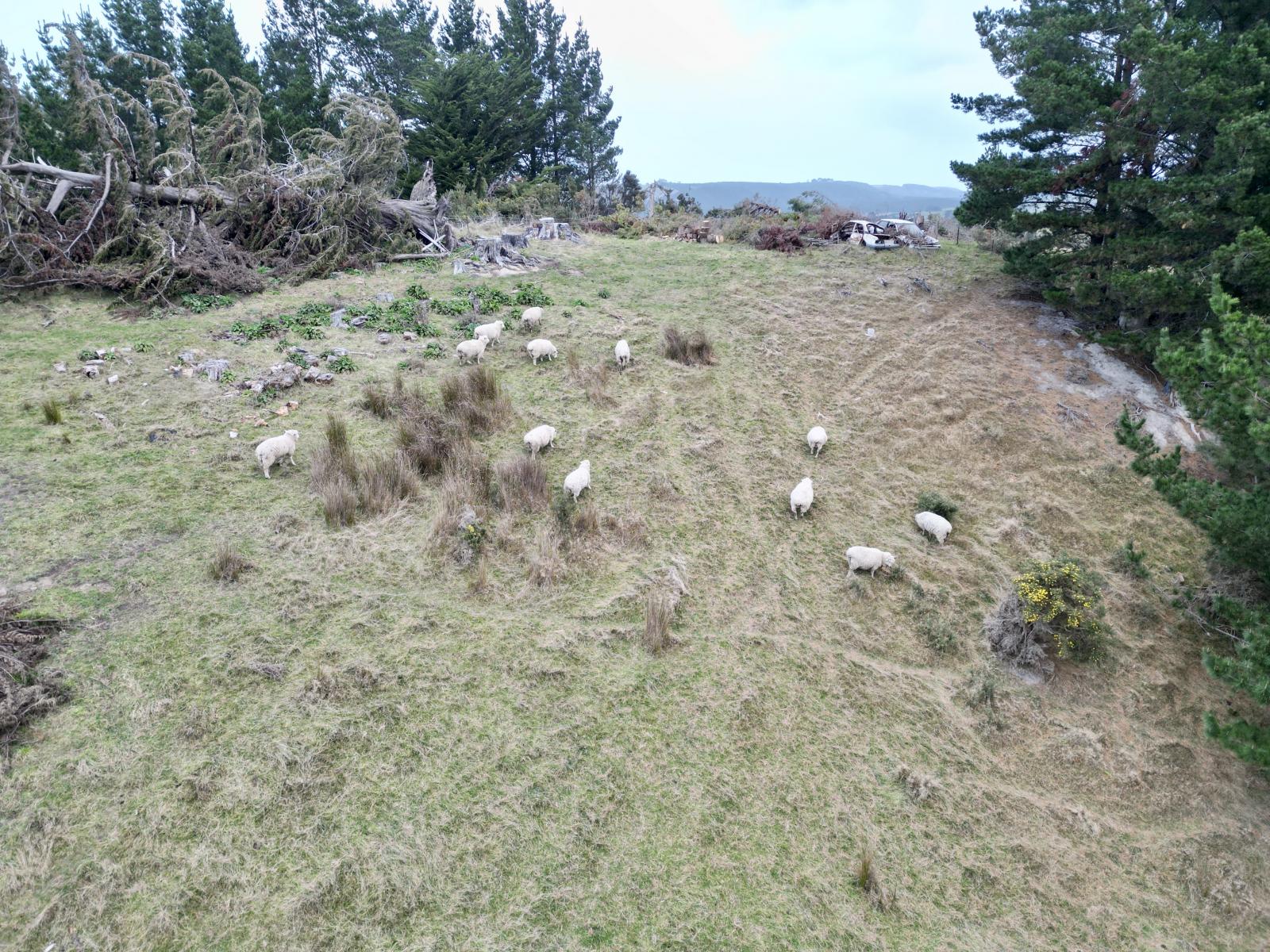 45 Taieri Beach Road, Taieri Beach