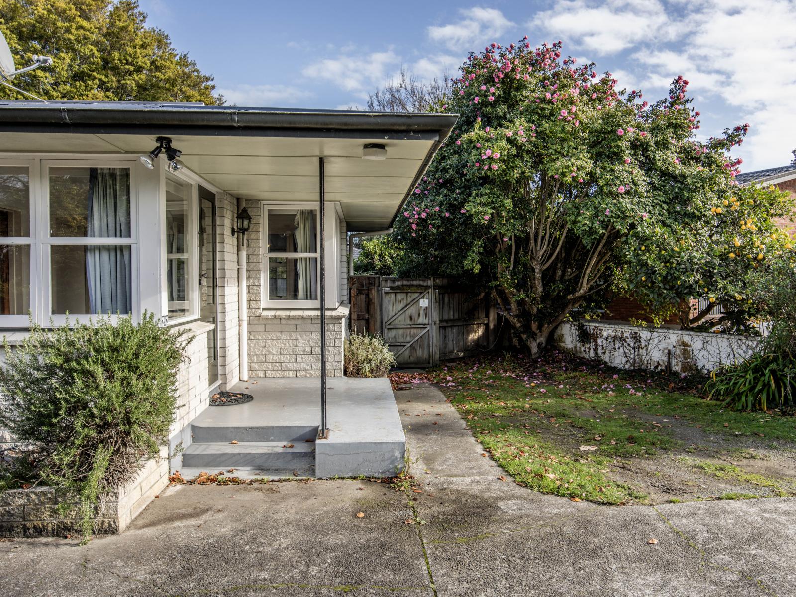 292 Park Road, Hokowhitu