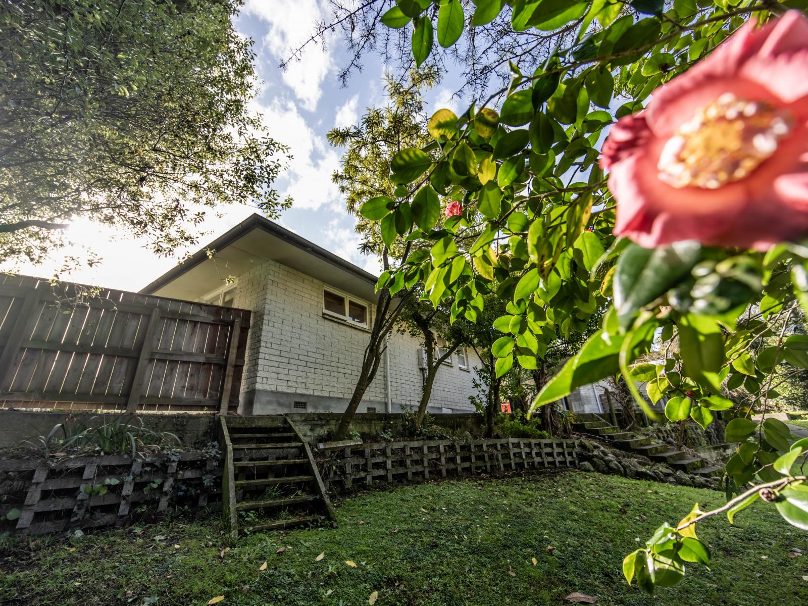 292 Park Road, Hokowhitu