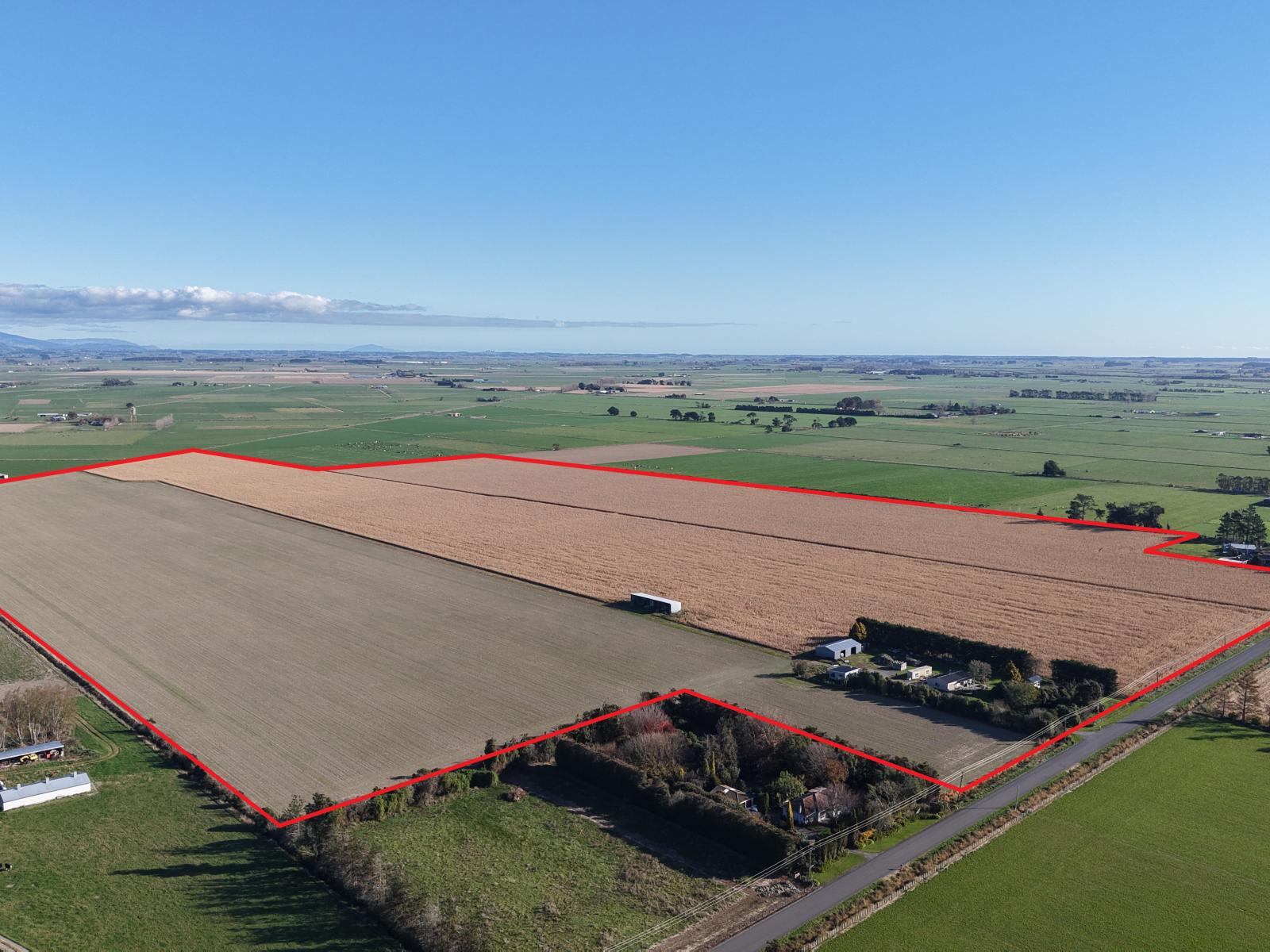 381-393 Tane Road, Opiki