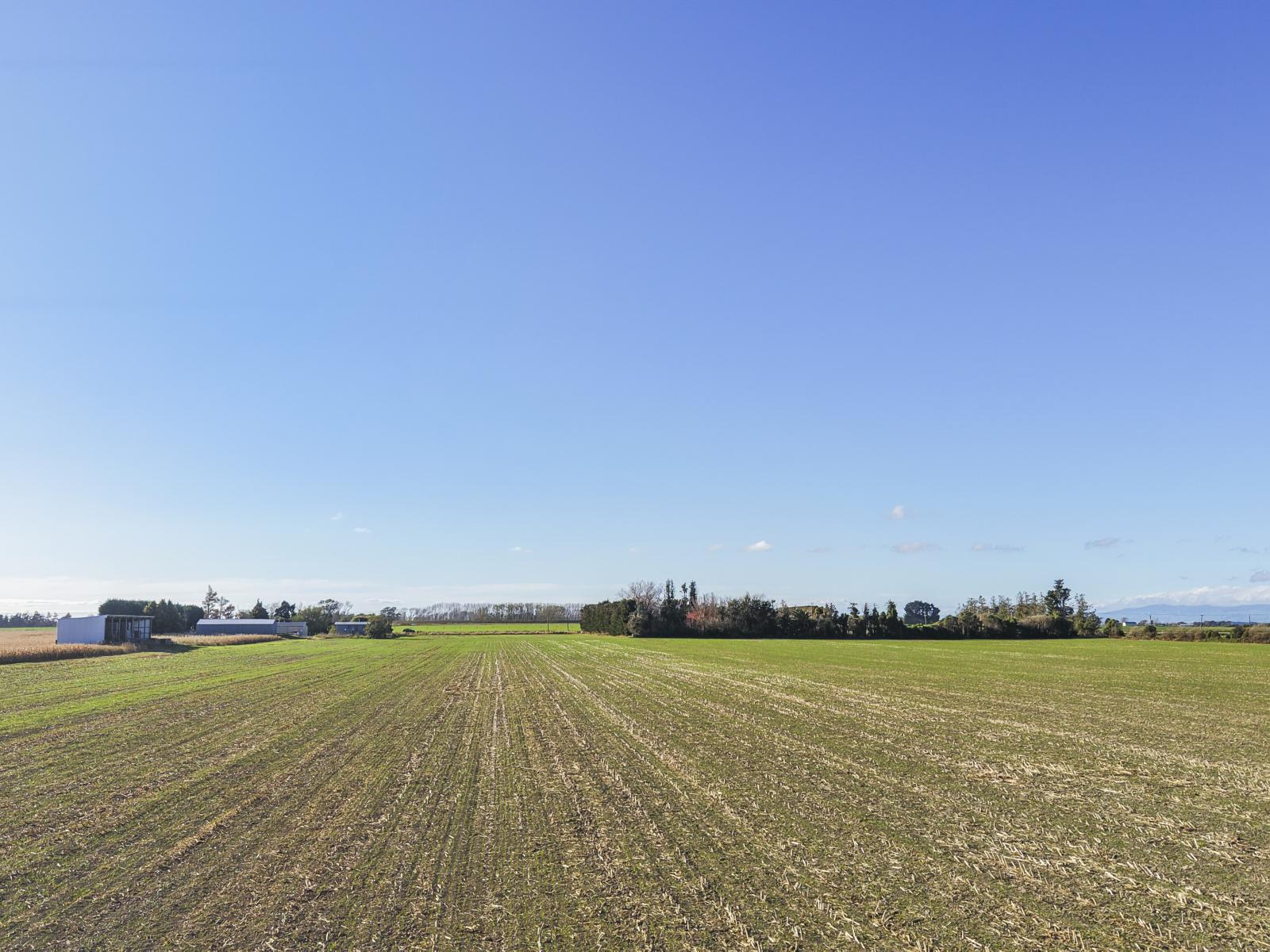 381-393 Tane Road, Opiki