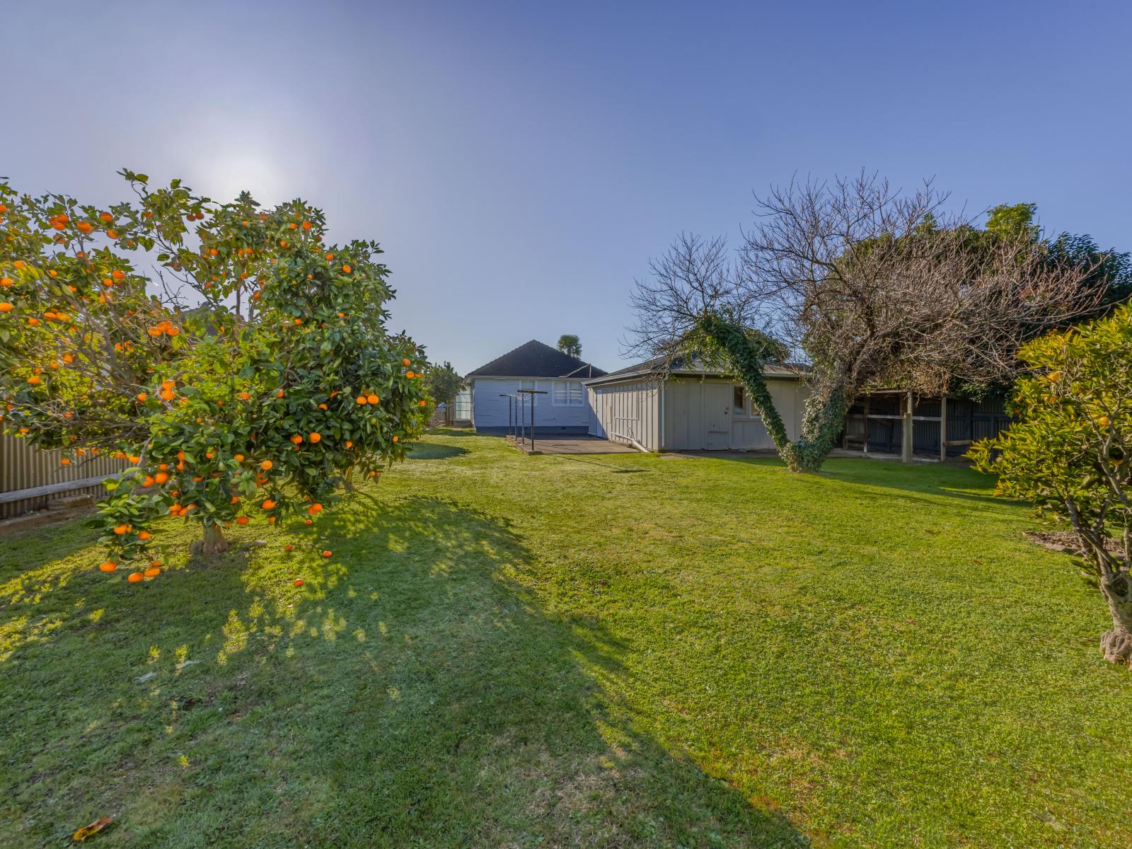 9 Maxwell Place, Maraenui