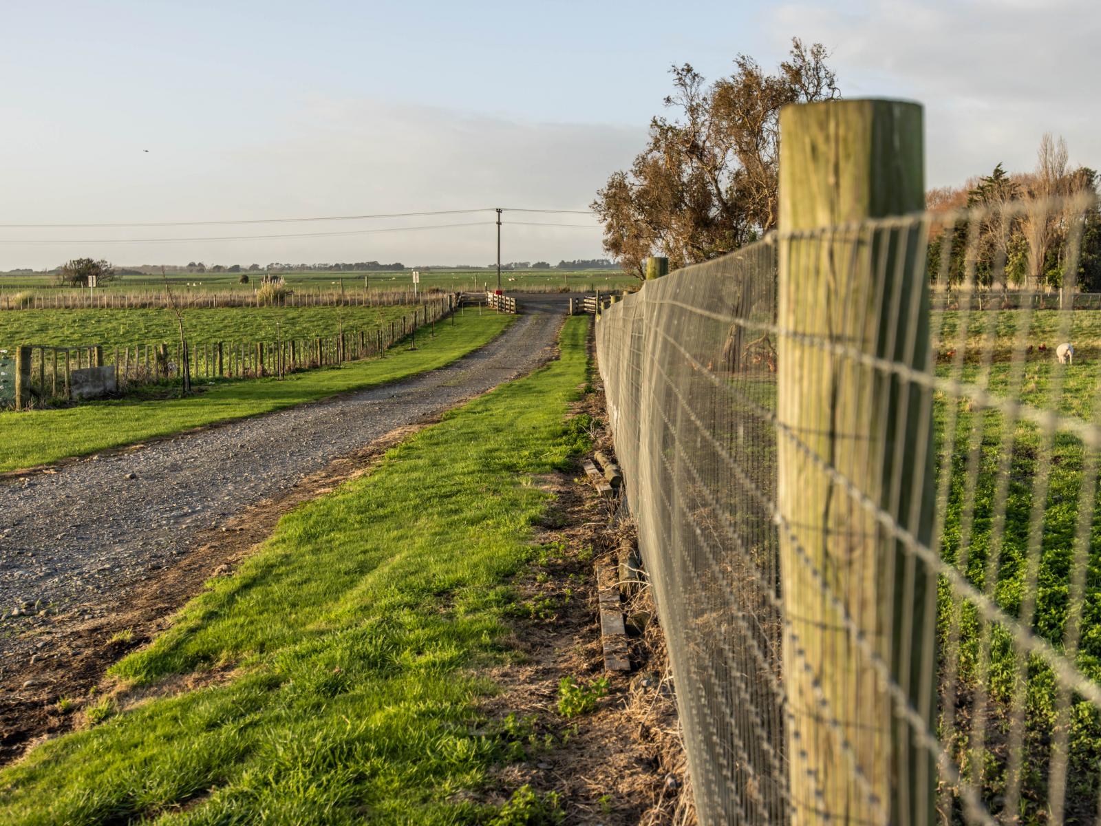3125 State Highway 1, Sanson