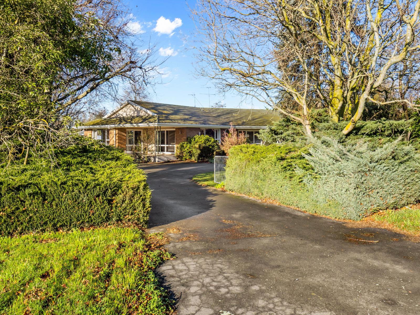 55 Peters Street, Hinds