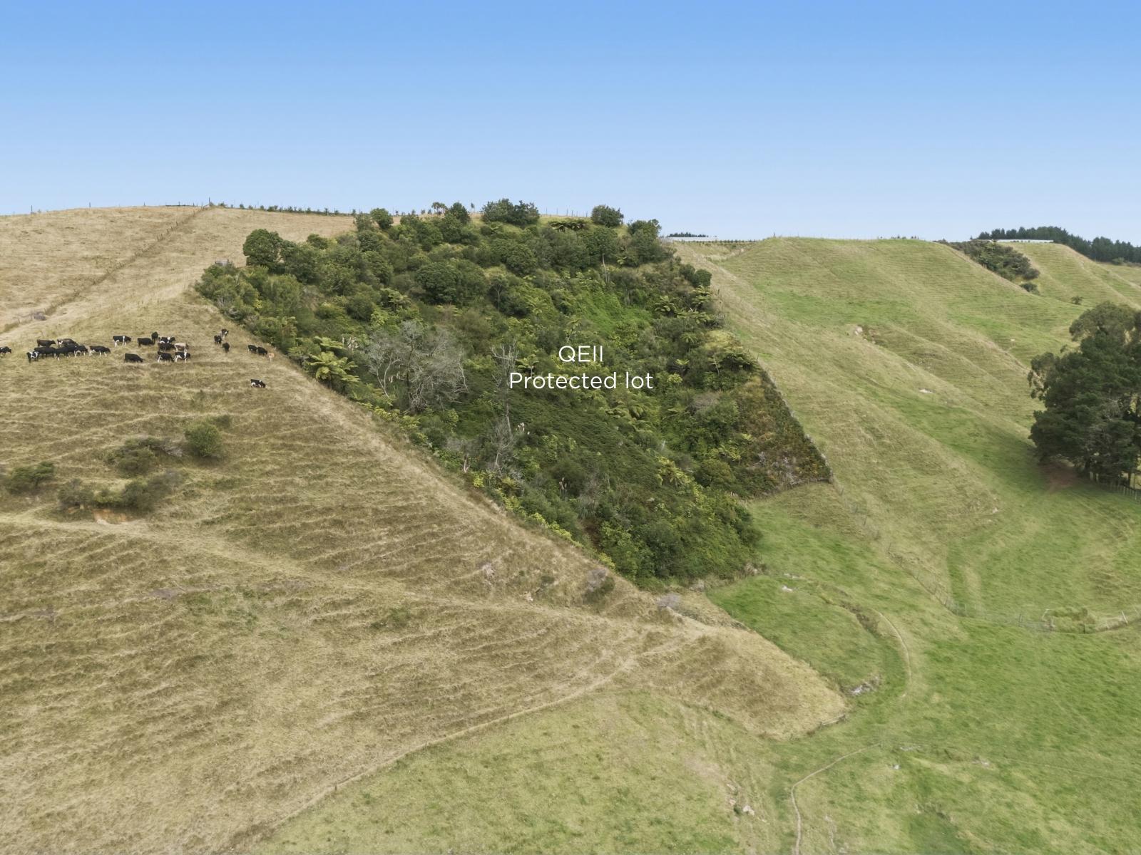 147A Pikowai Road, Pikowai