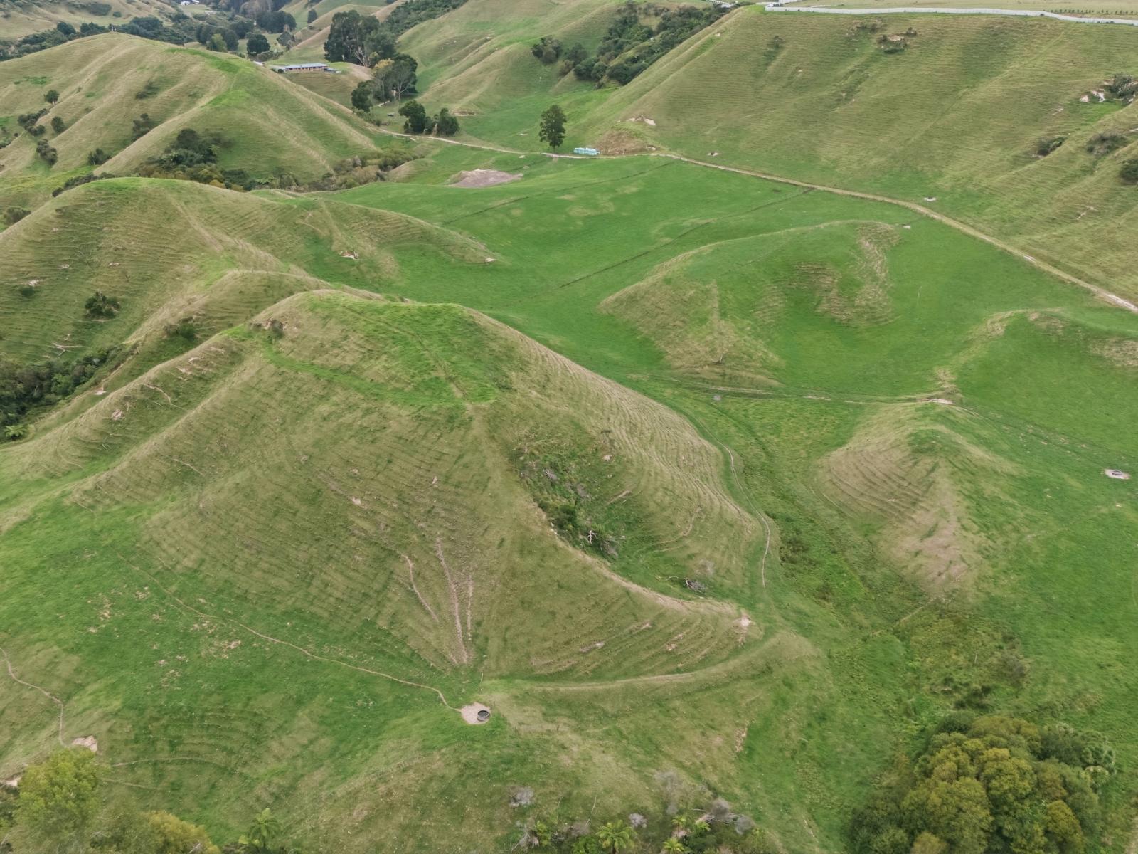 147A Pikowai Road, Pikowai