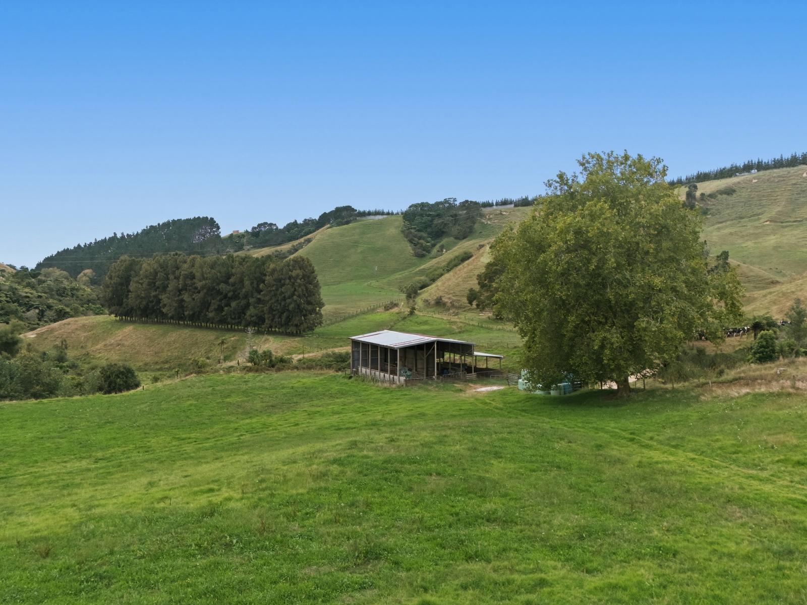 147A Pikowai Road, Pikowai