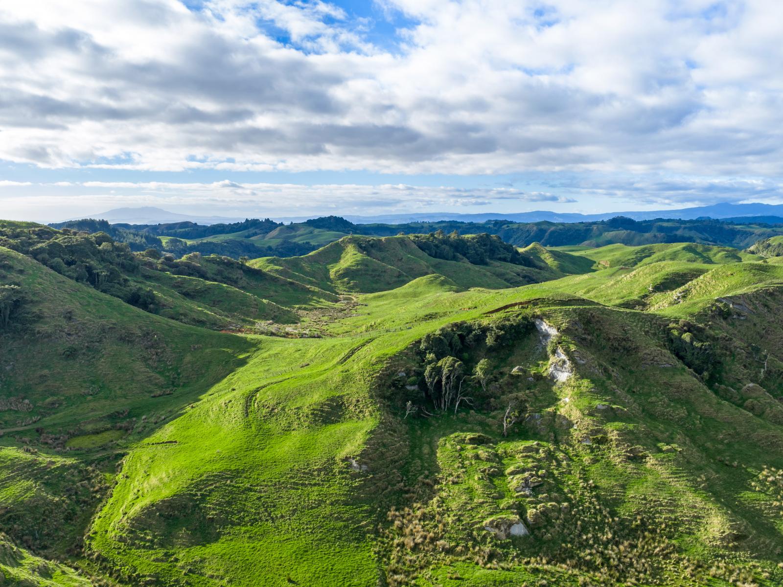 279 Taumatatotara Road, Te Kuiti