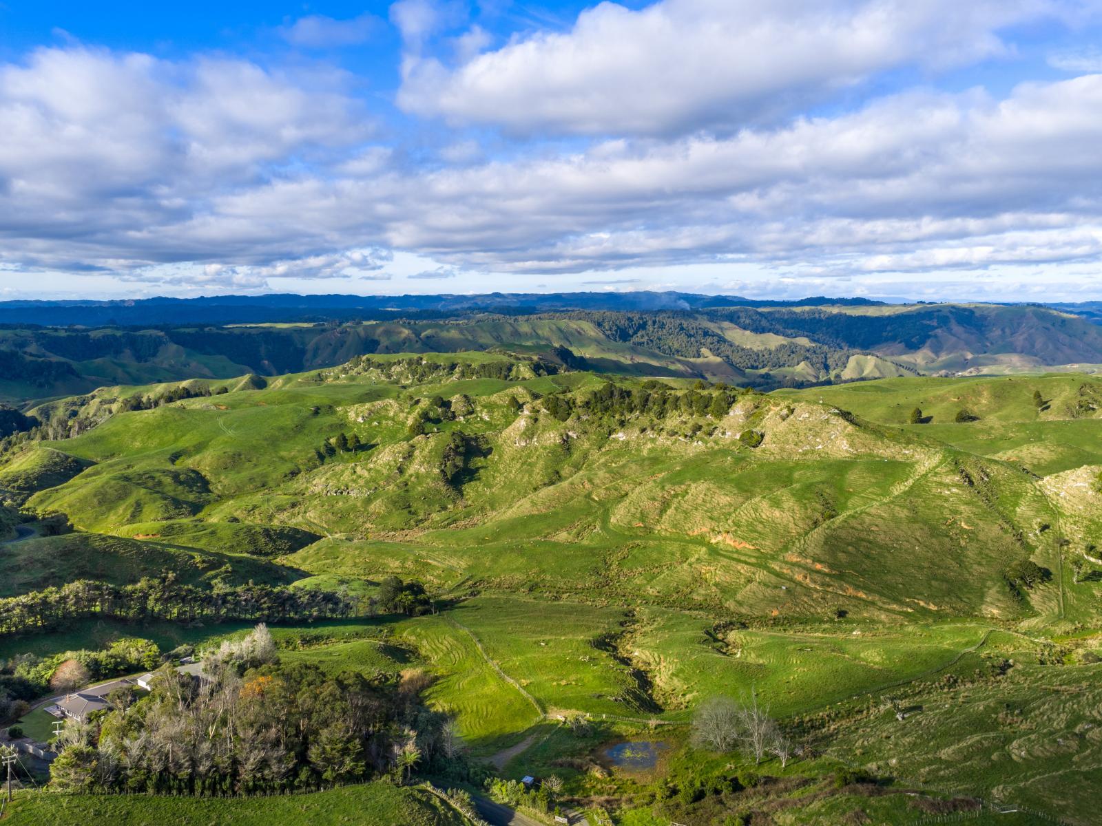 279 Taumatatotara Road, Te Kuiti